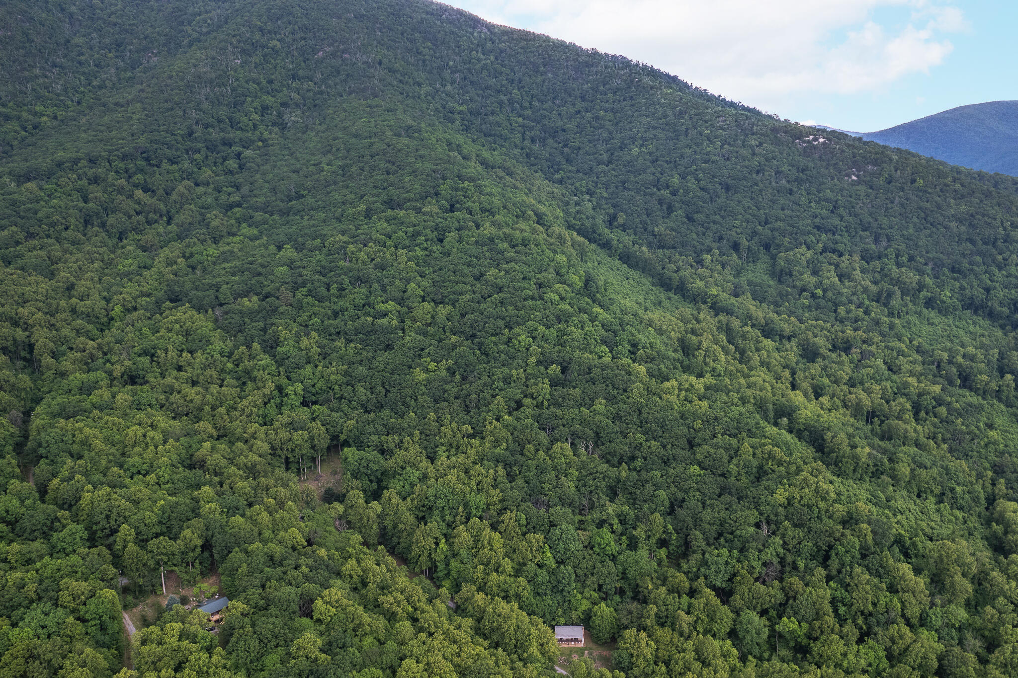 Sawmill Rd, Bedford, Virginia image 9