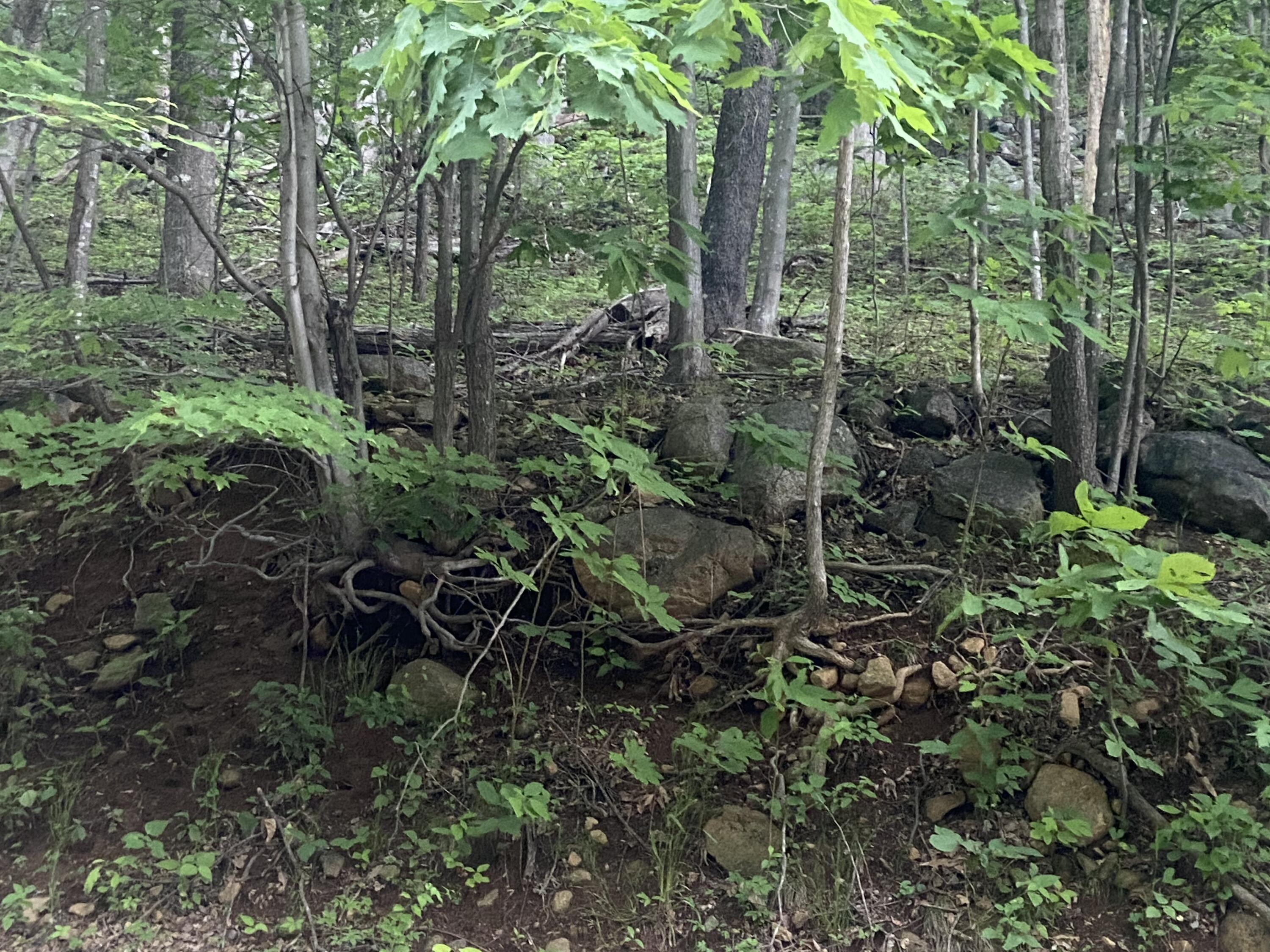 Sawmill Rd, Bedford, Virginia image 2