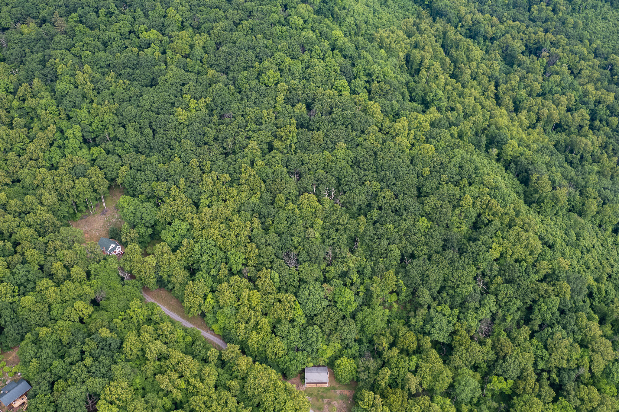 Sawmill Rd, Bedford, Virginia image 12