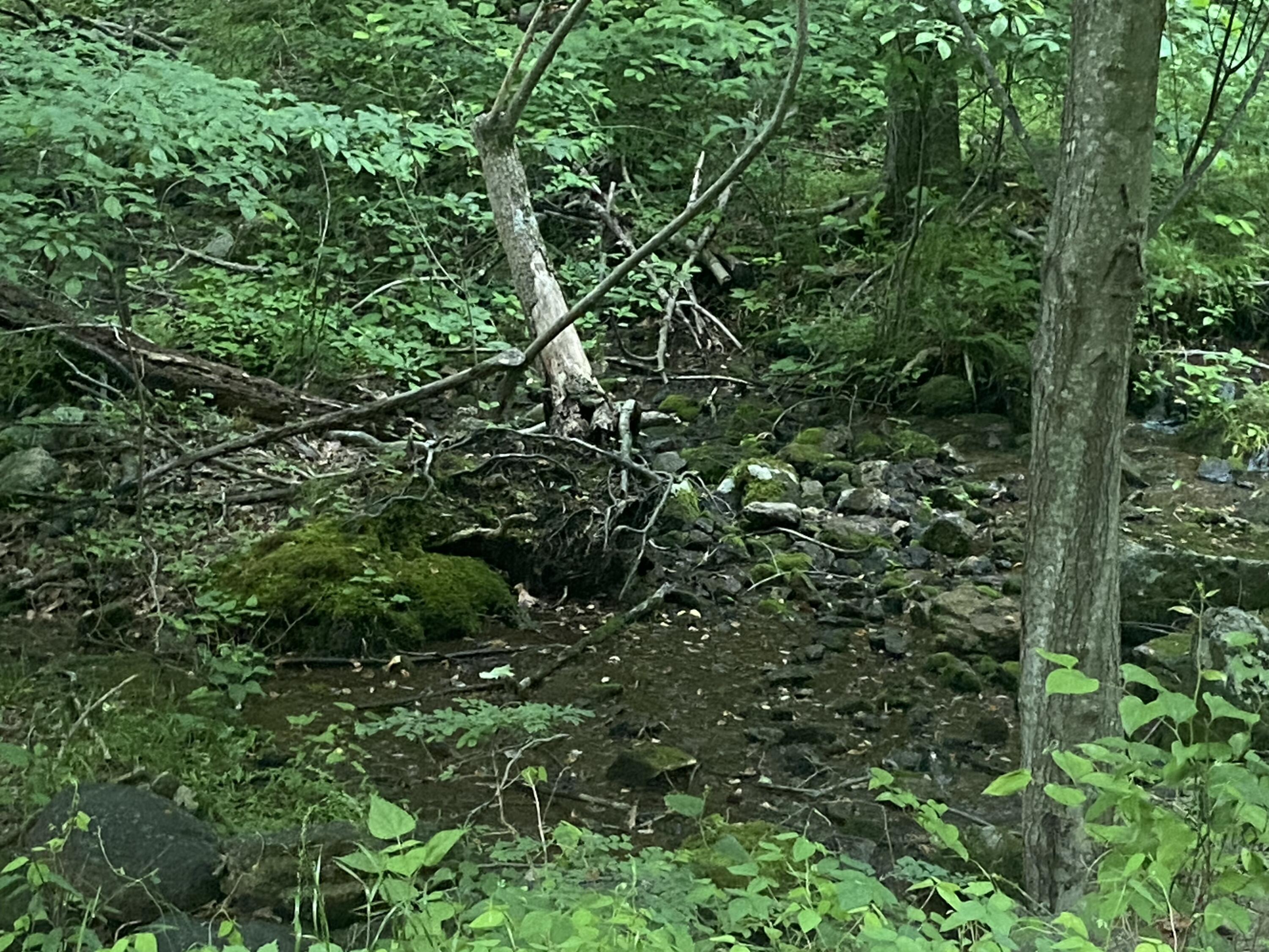 Sawmill Rd, Bedford, Virginia image 5