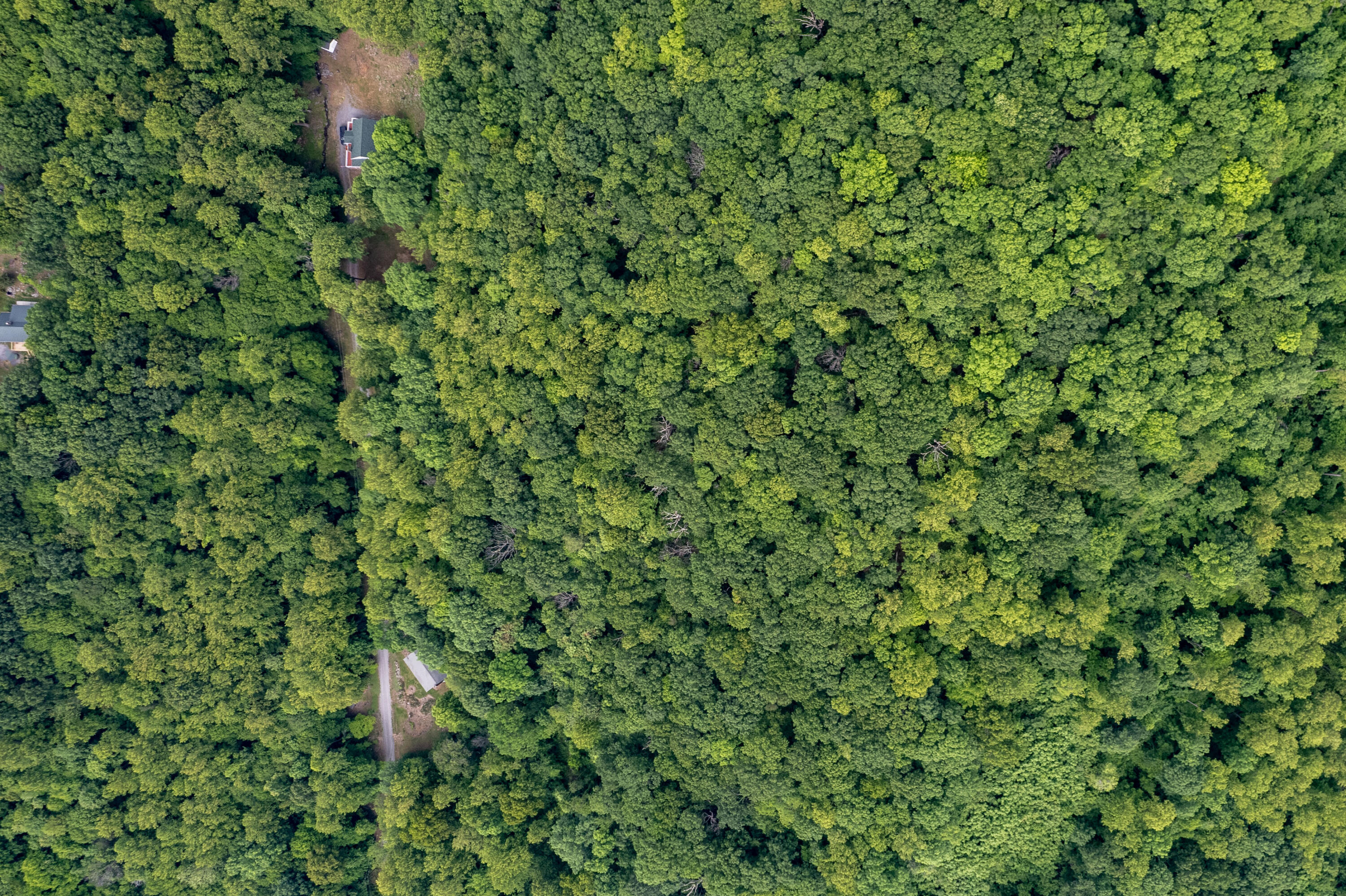 Sawmill Rd, Bedford, Virginia image 8