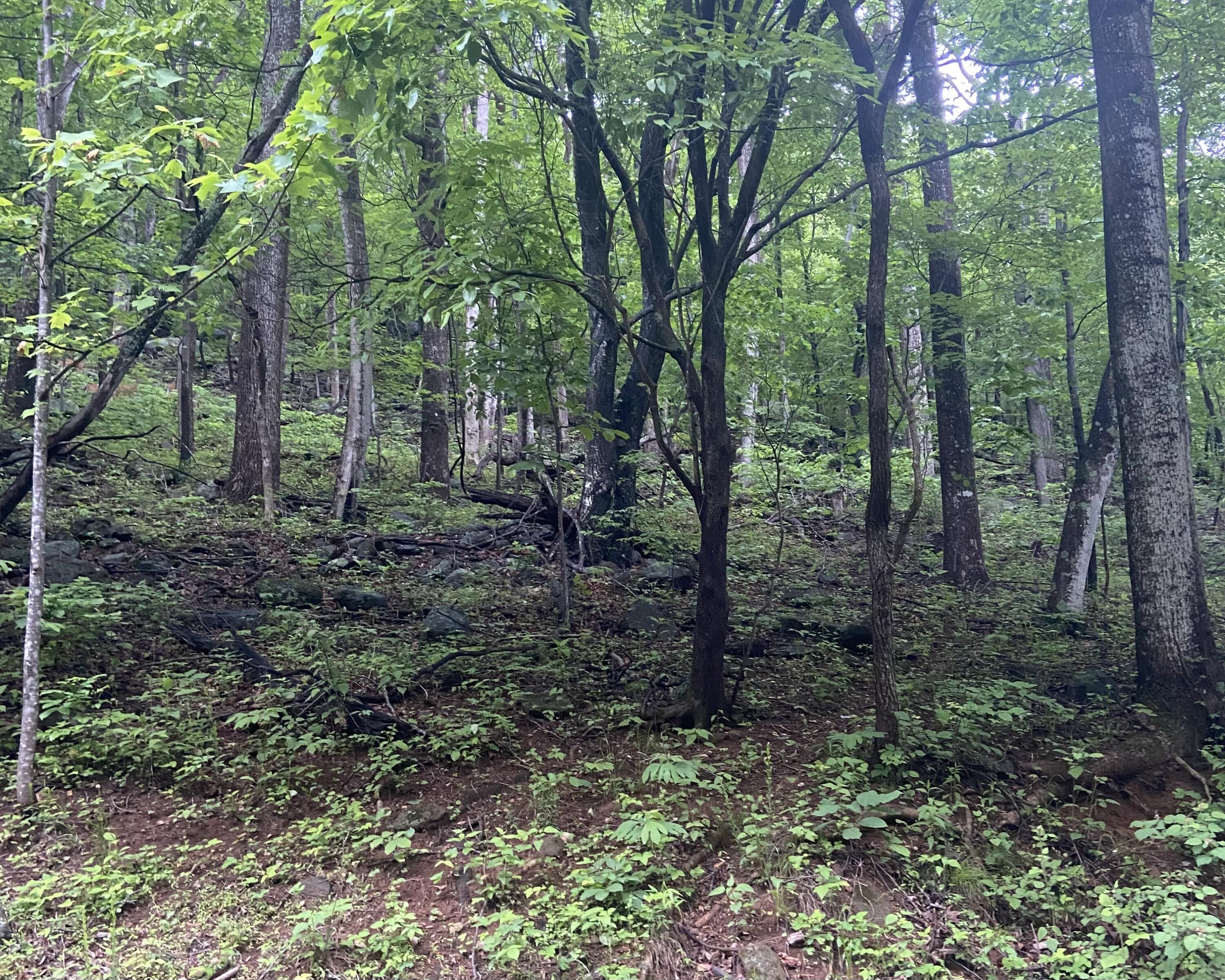 Sawmill Rd, Bedford, Virginia image 1