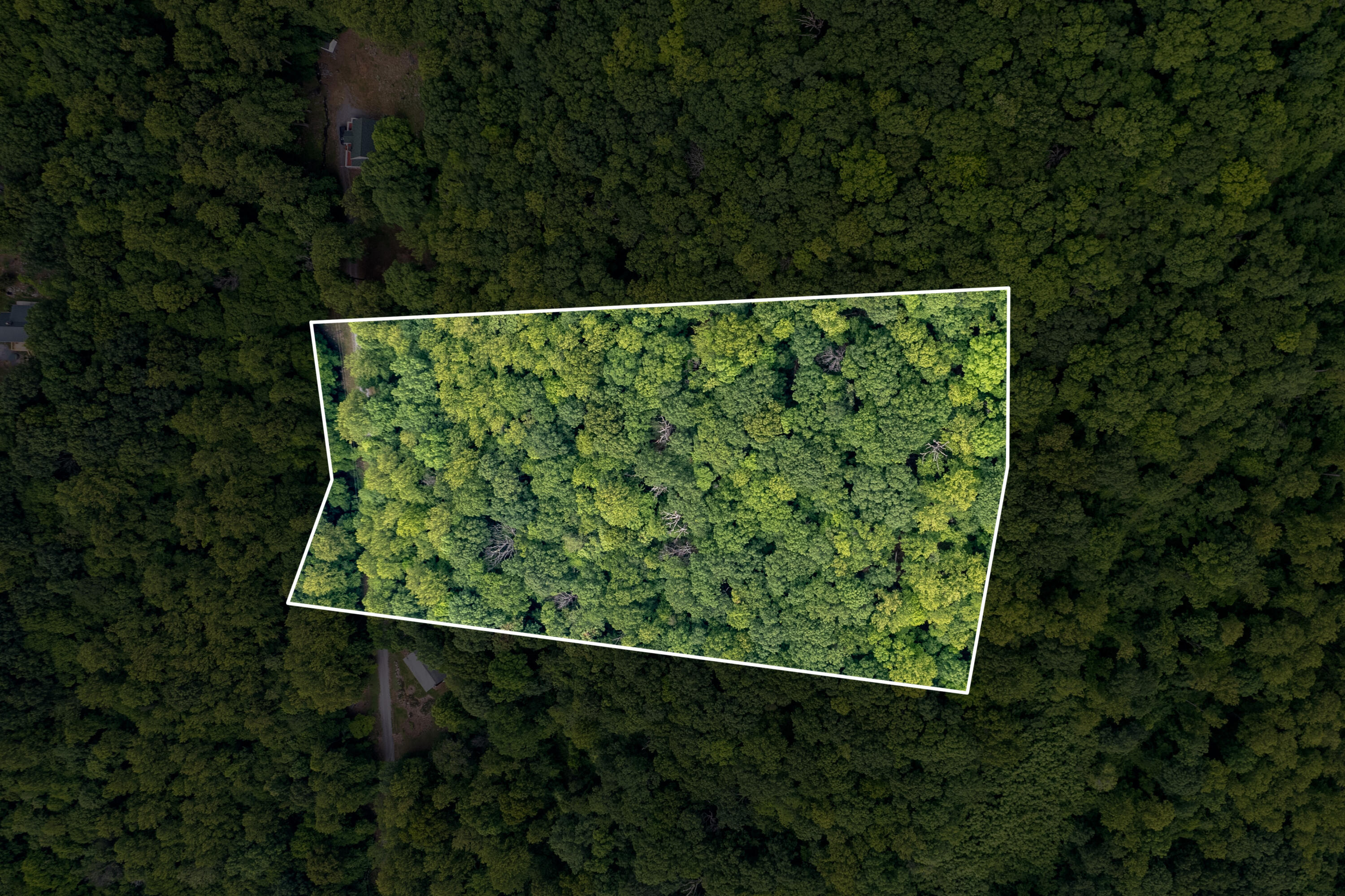 Sawmill Rd, Bedford, Virginia image 7