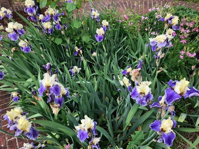 Roanoke, Virginia 24018, United States, 3 Bedrooms Bedrooms, ,2 BathroomsBathrooms,Residential,Active,208505