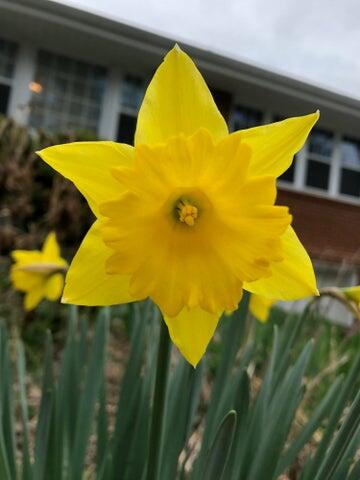 Roanoke, Virginia 24018, United States, 3 Bedrooms Bedrooms, ,2 BathroomsBathrooms,Residential,Active,208505