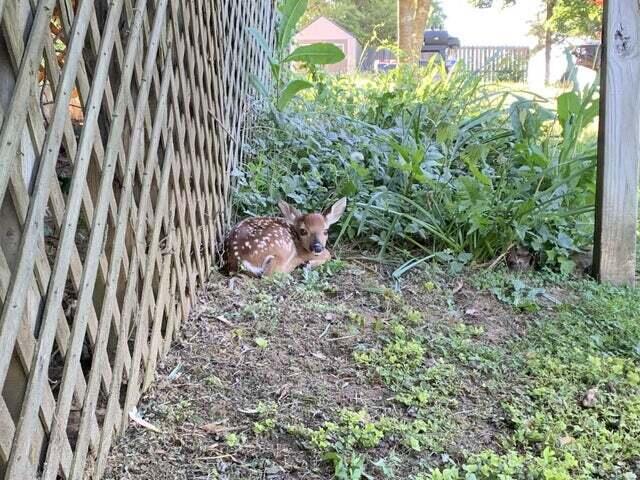 Roanoke, Virginia 24018, United States, 3 Bedrooms Bedrooms, ,2 BathroomsBathrooms,Residential,Active,208505