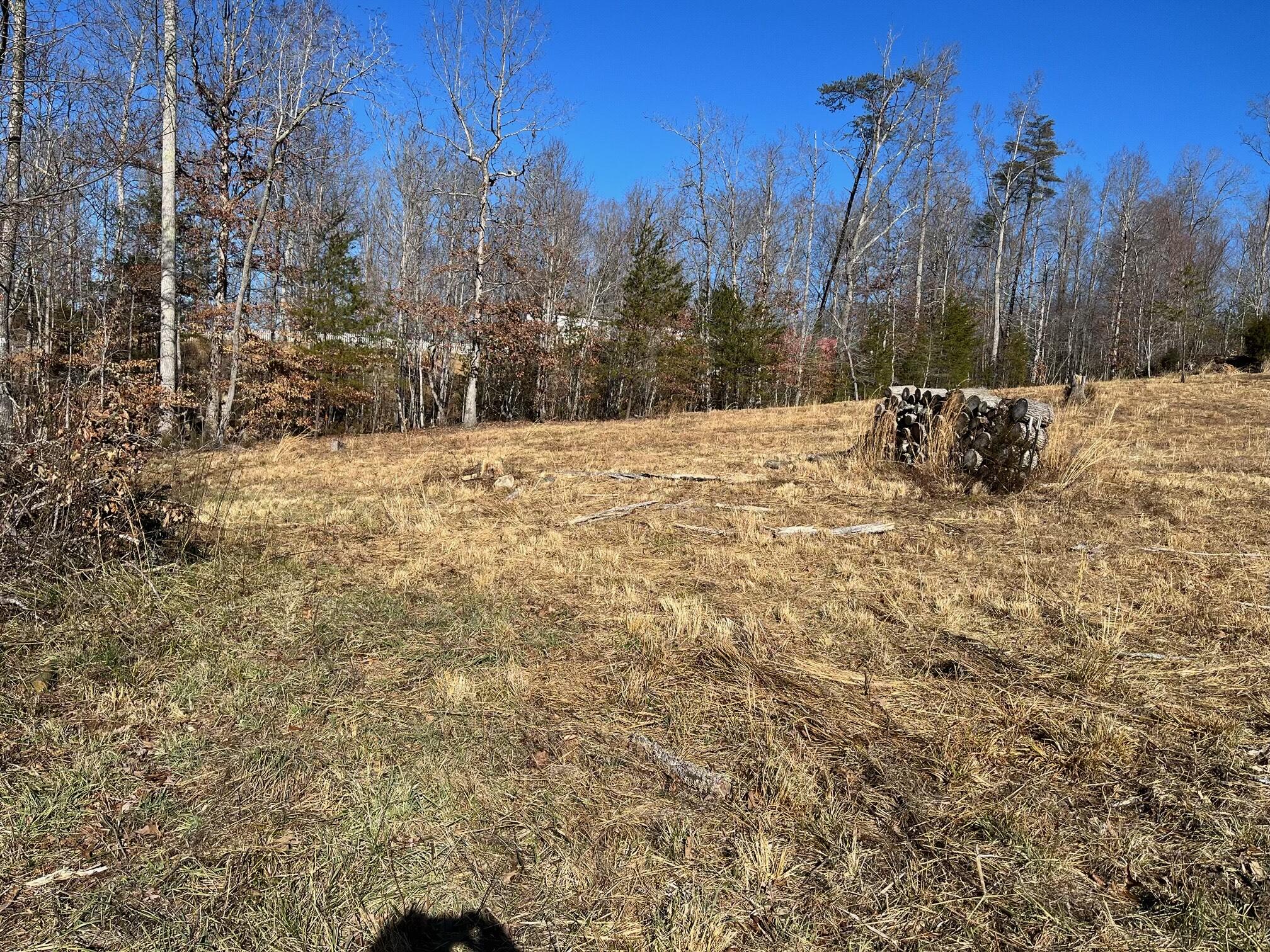 Lot 4 C&E Family Acres Ln, Bedford, Virginia image 6