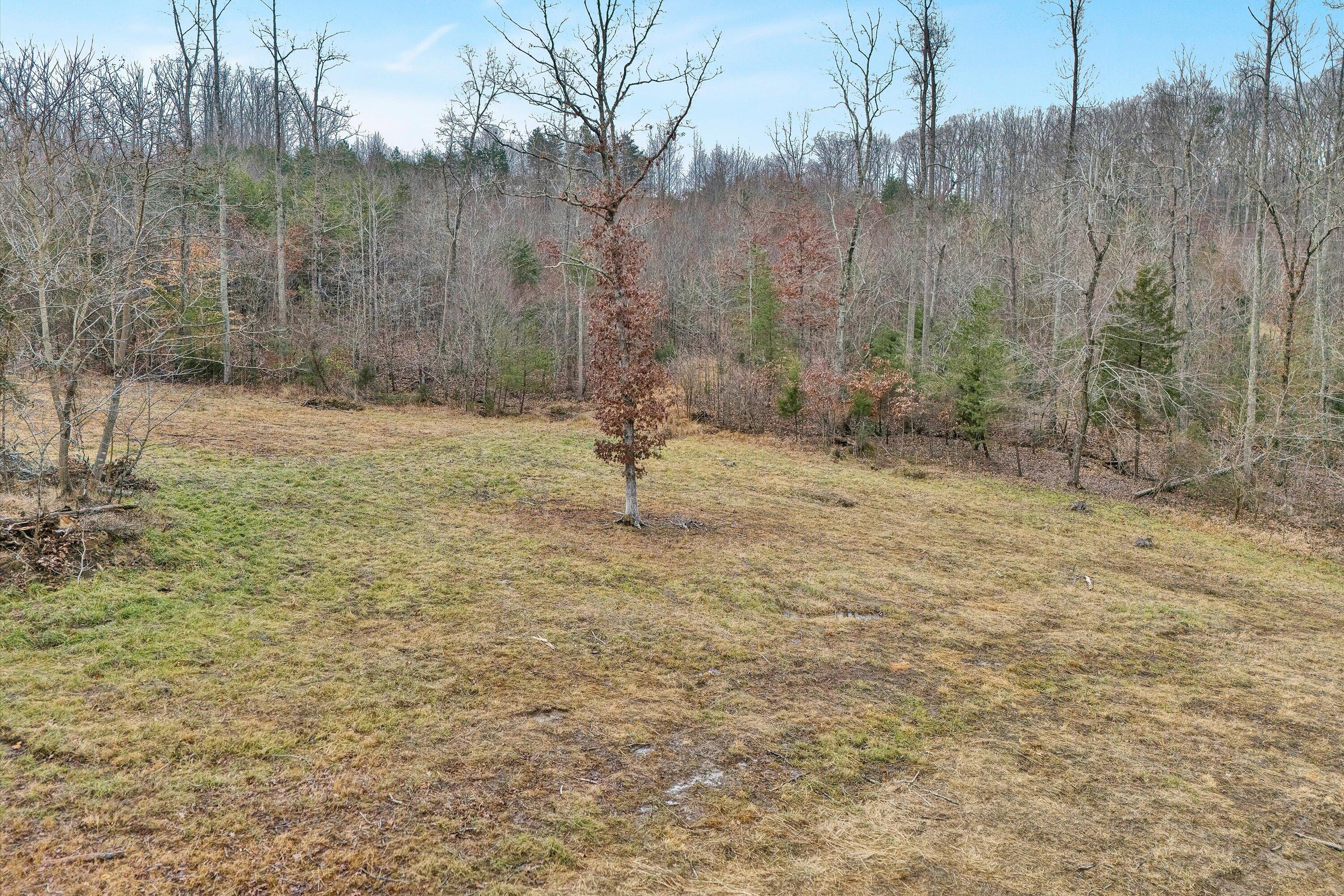 Lot 4 C&E Family Acres Ln, Bedford, Virginia image 3