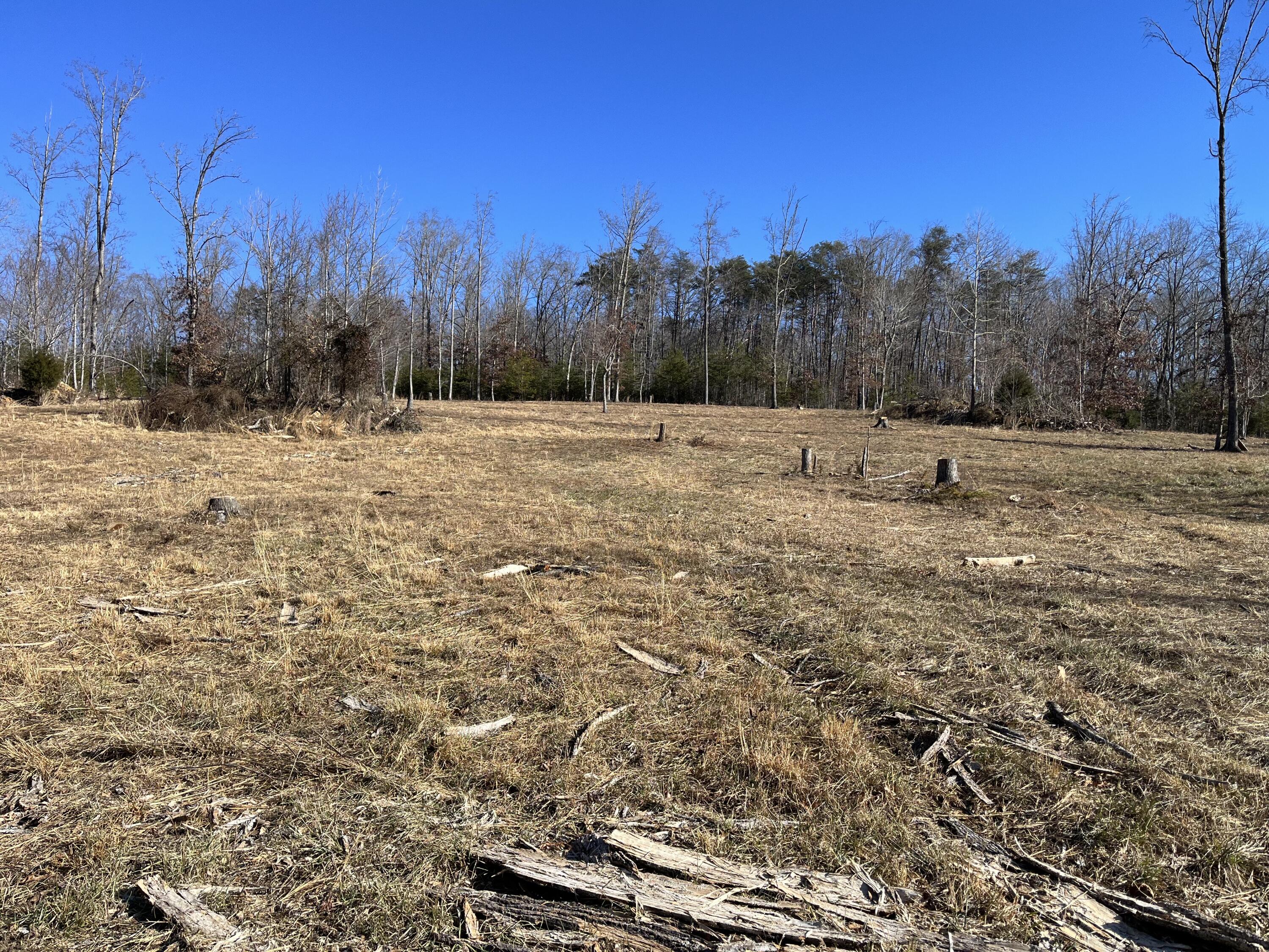 Lot 4 C&E Family Acres Ln, Bedford, Virginia image 7