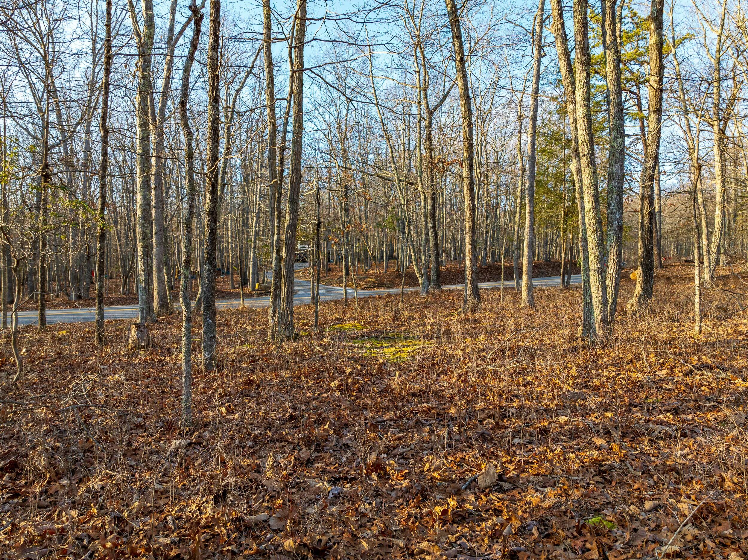 4510 Pearman Rd, Blacksburg, Virginia image 18