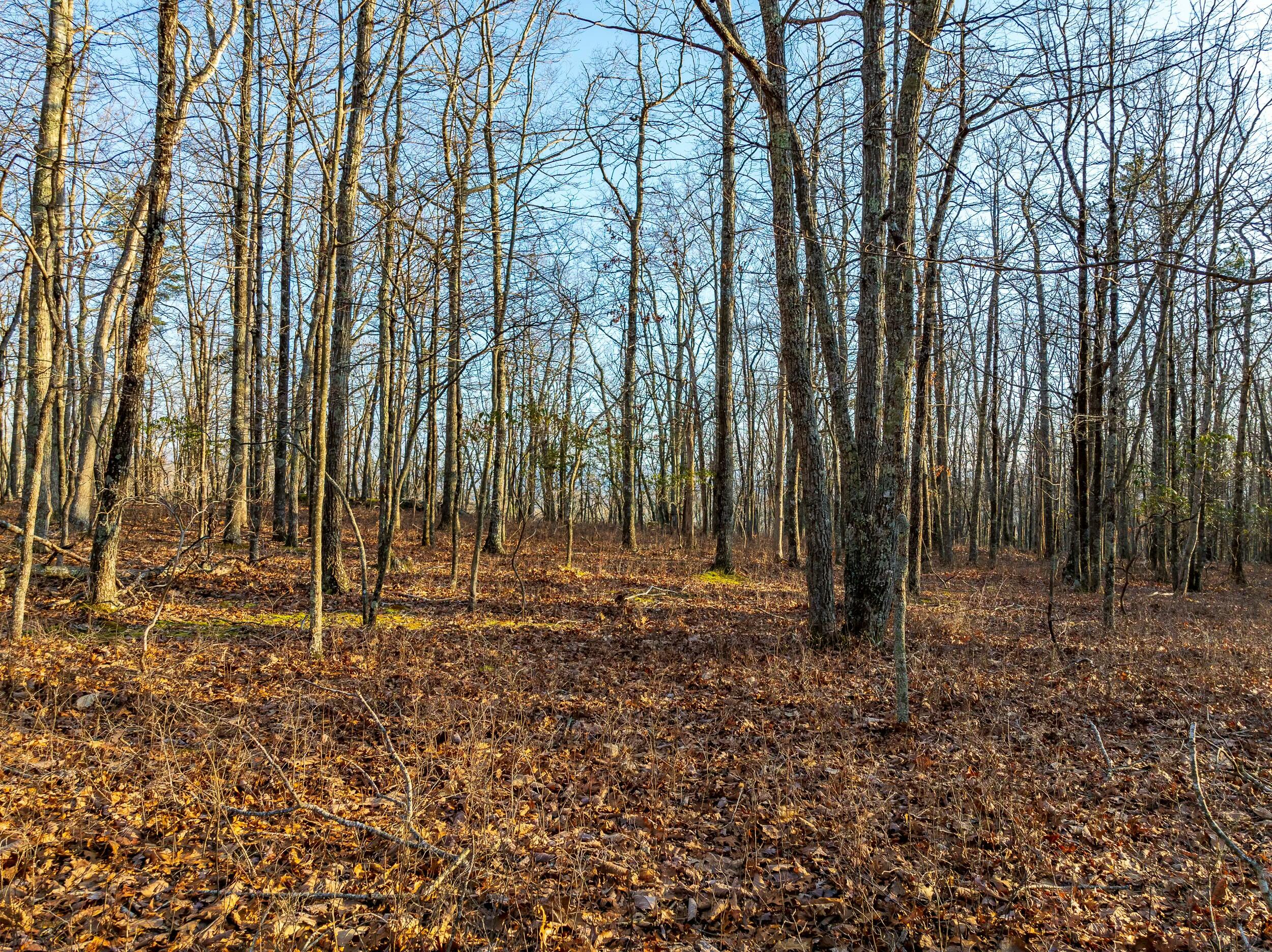 4510 Pearman Rd, Blacksburg, Virginia image 14