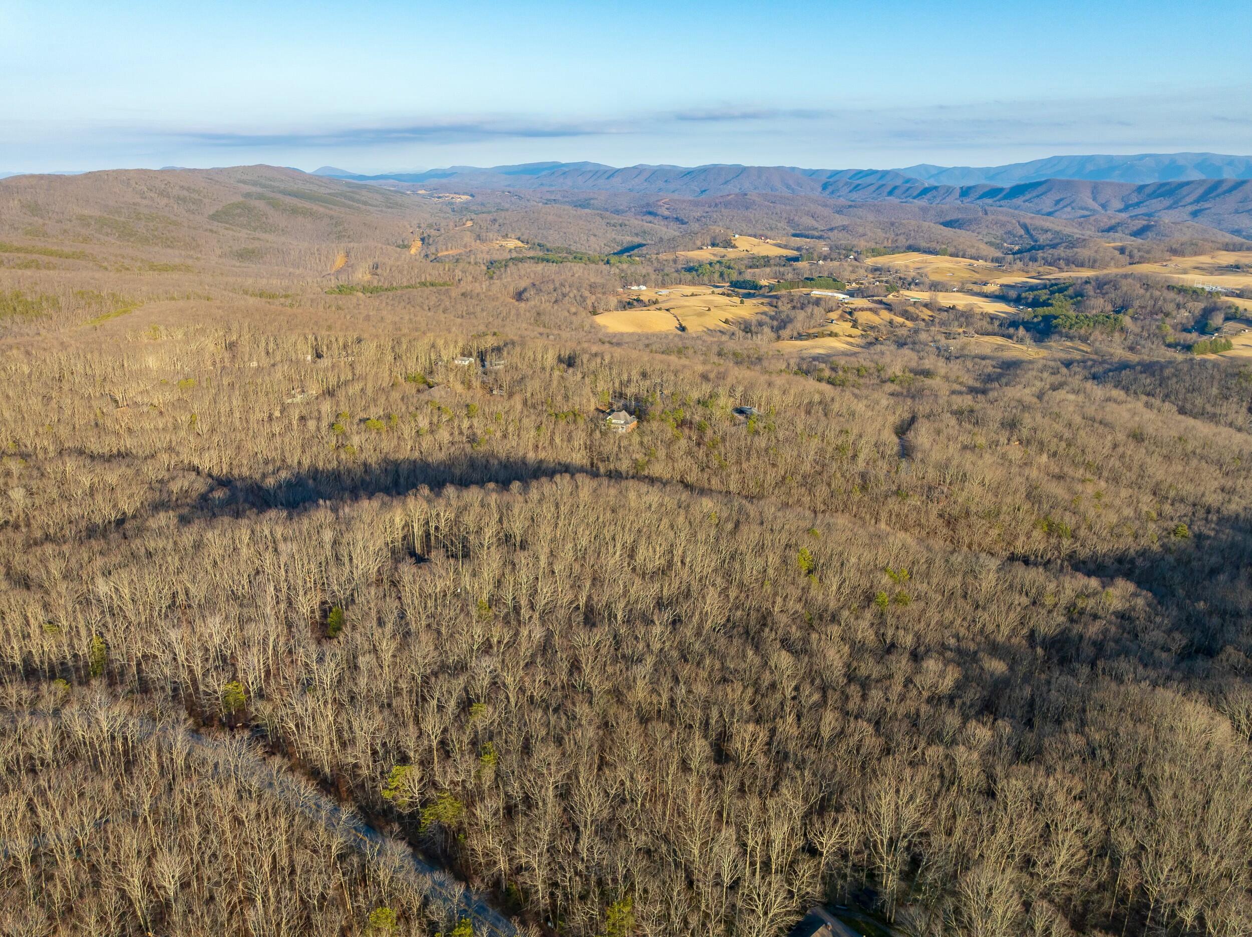 4510 Pearman Rd, Blacksburg, Virginia image 32