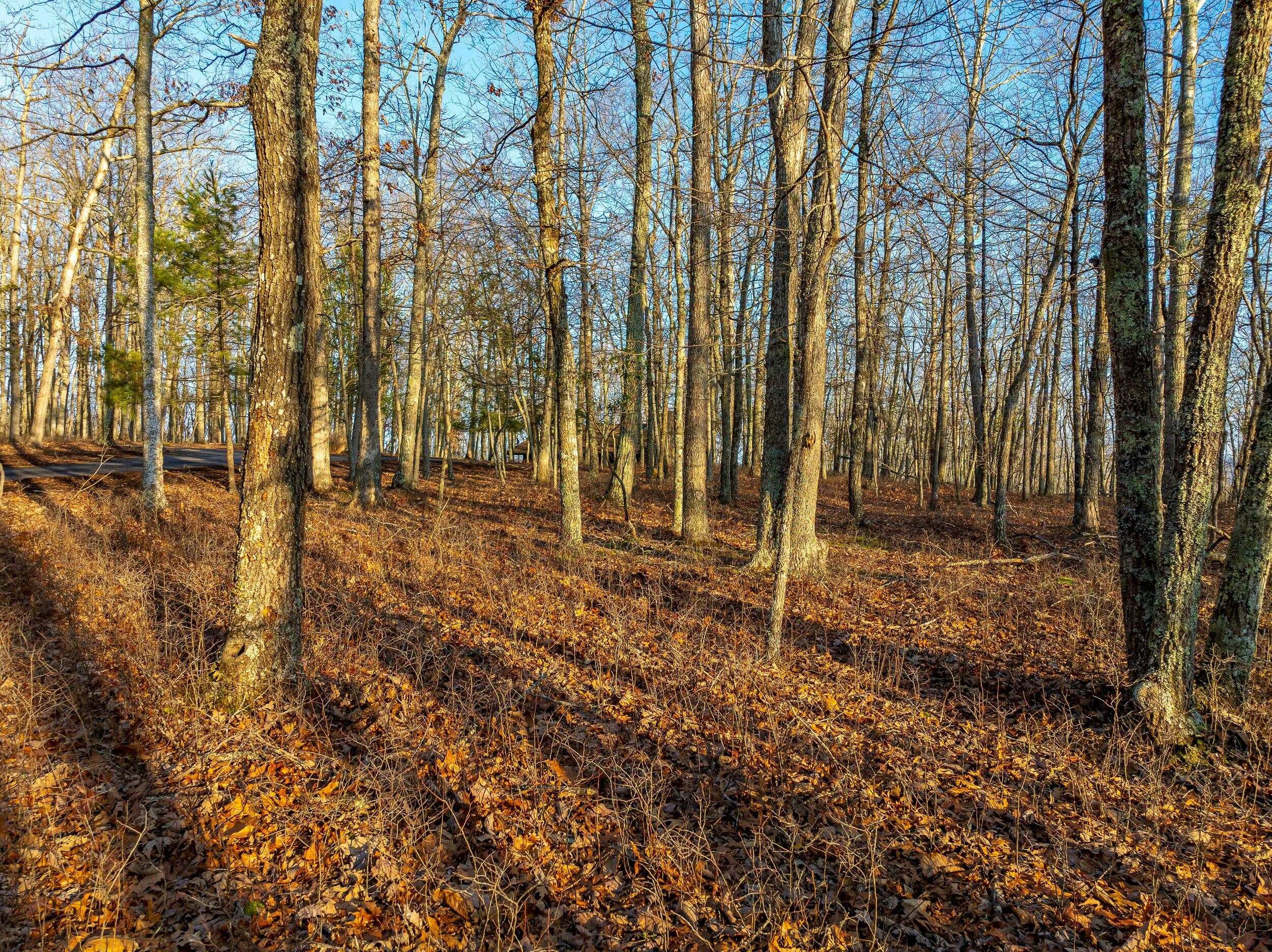 4510 Pearman Rd, Blacksburg, Virginia image 13