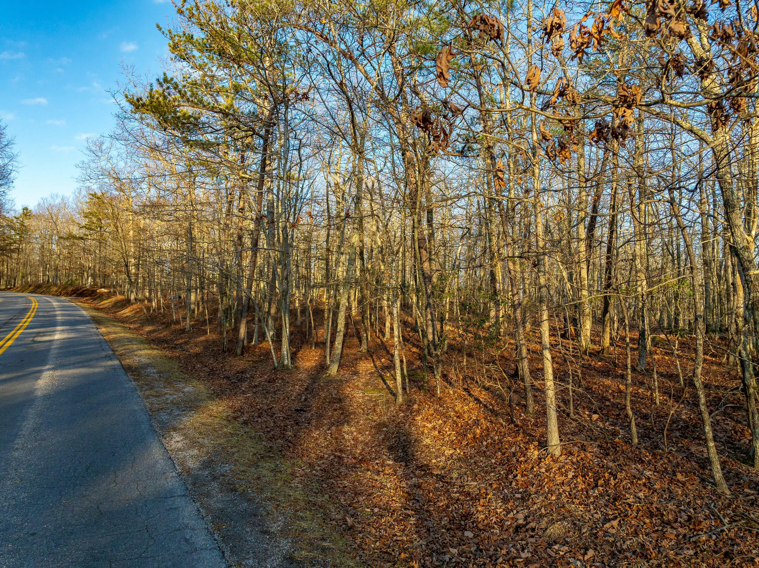 4510 Pearman Rd, Blacksburg, Virginia image 22