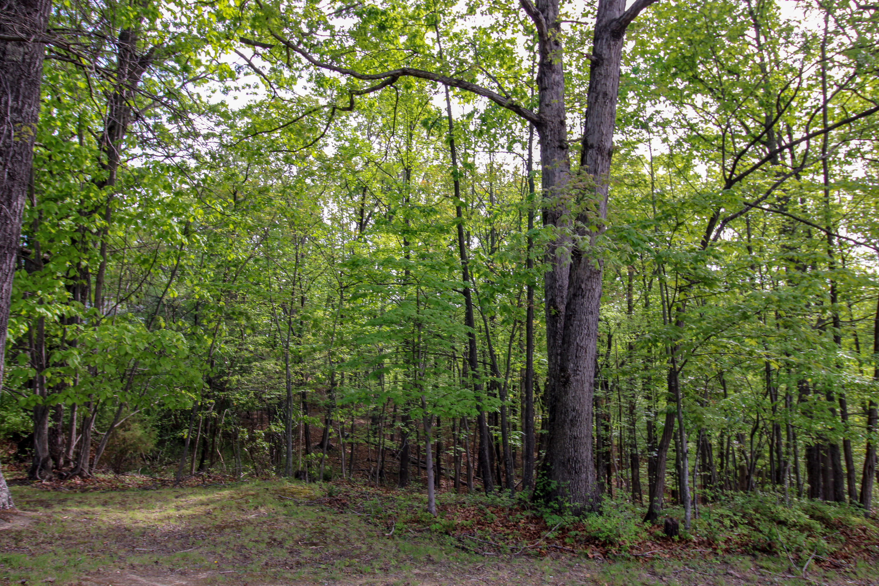 1663 Mountain Heights Dr, Salem, Virginia image 39