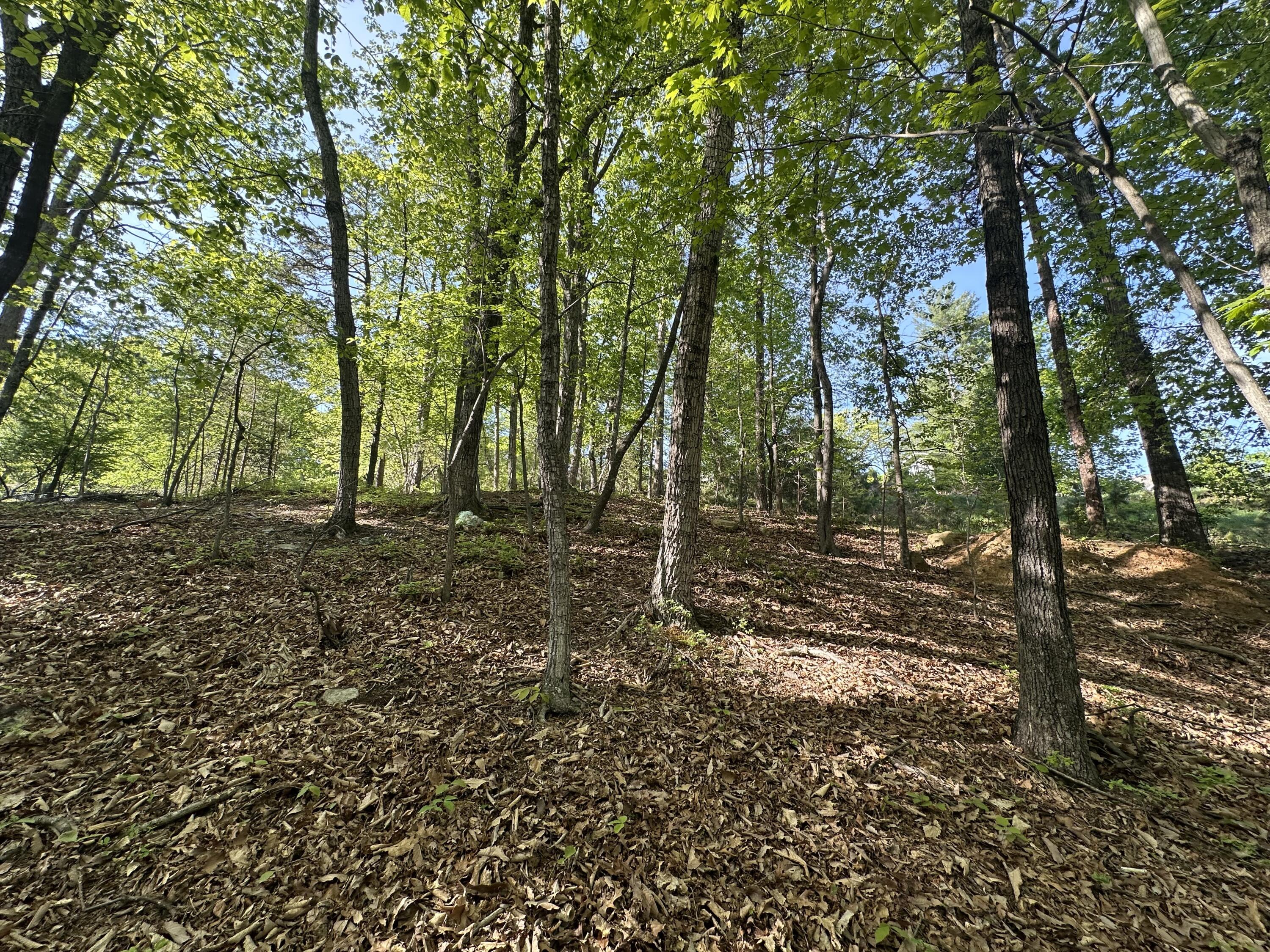1663 Mountain Heights Dr, Salem, Virginia image 40