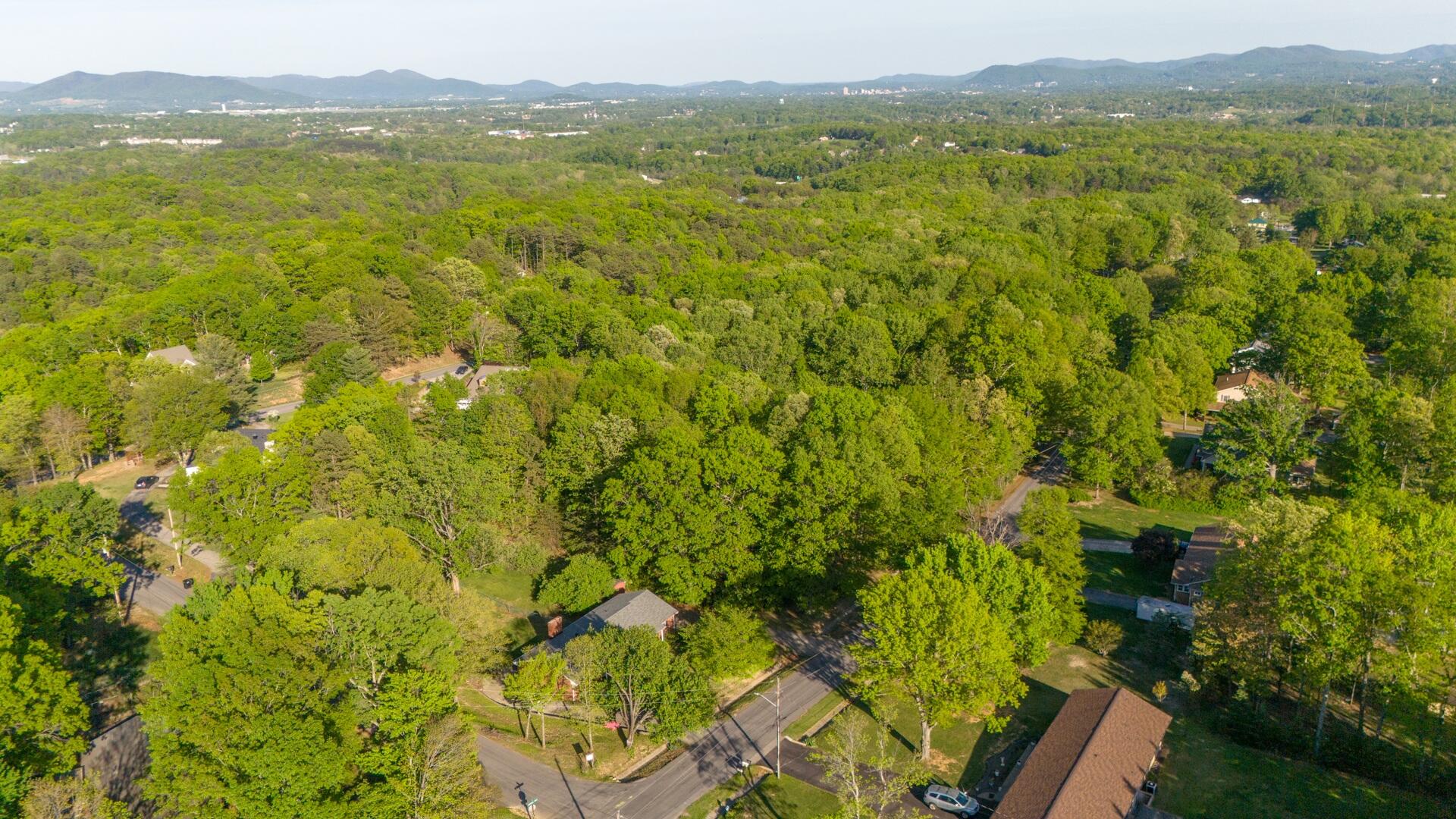 1663 Mountain Heights Dr, Salem, Virginia image 38