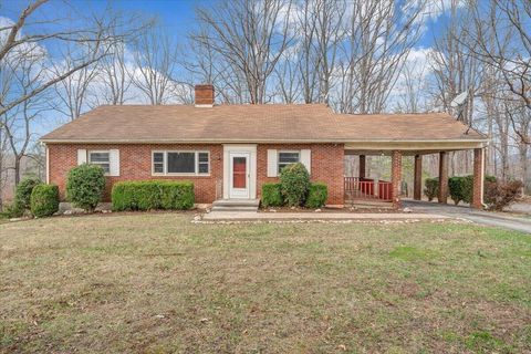 Homes For Sale - 8793 Dickerson Mill Rd<br/> Moneta, VA 24121