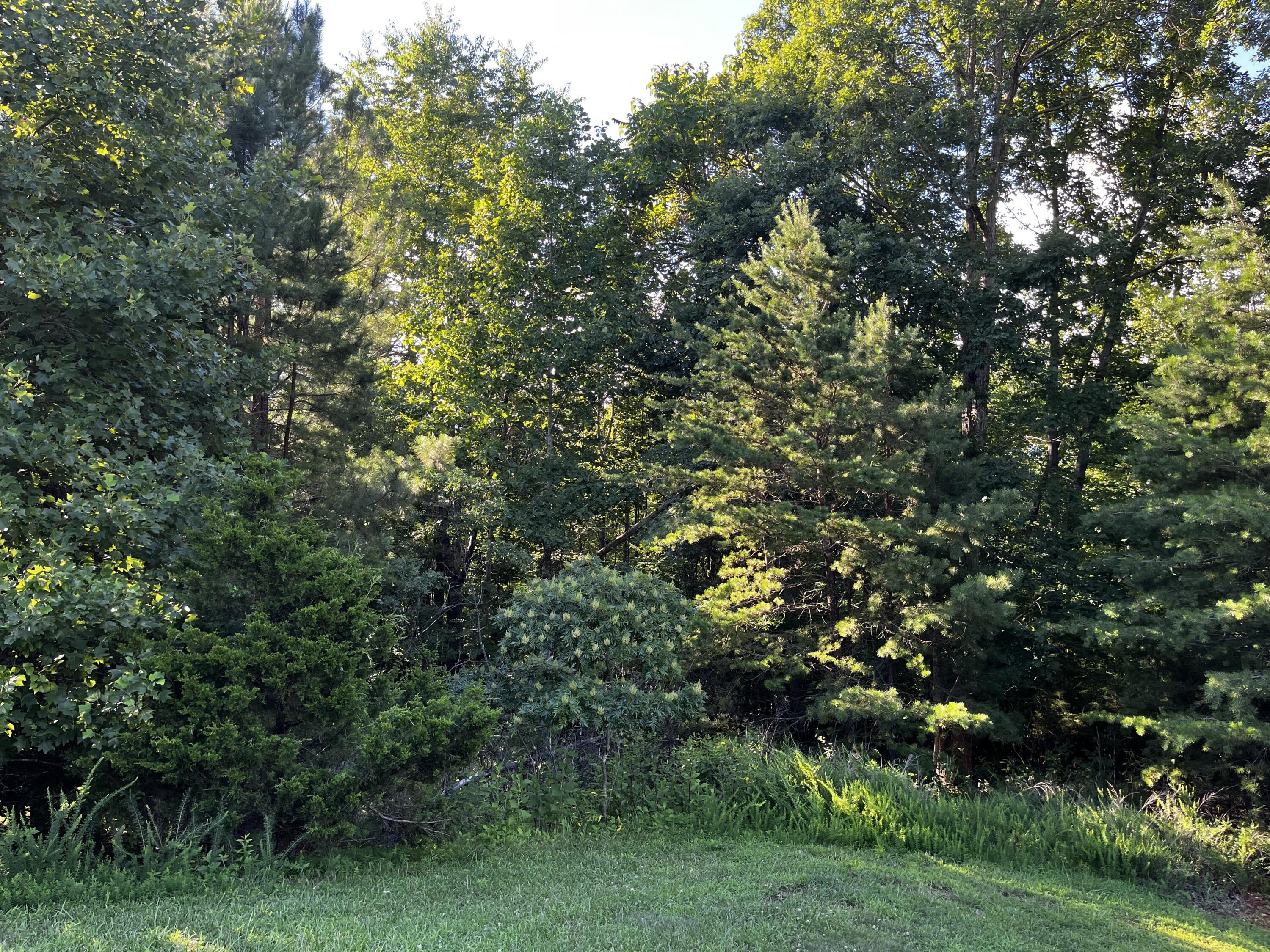 Lot 359 Clear Pointe Run, Lynch Station, Virginia image 5