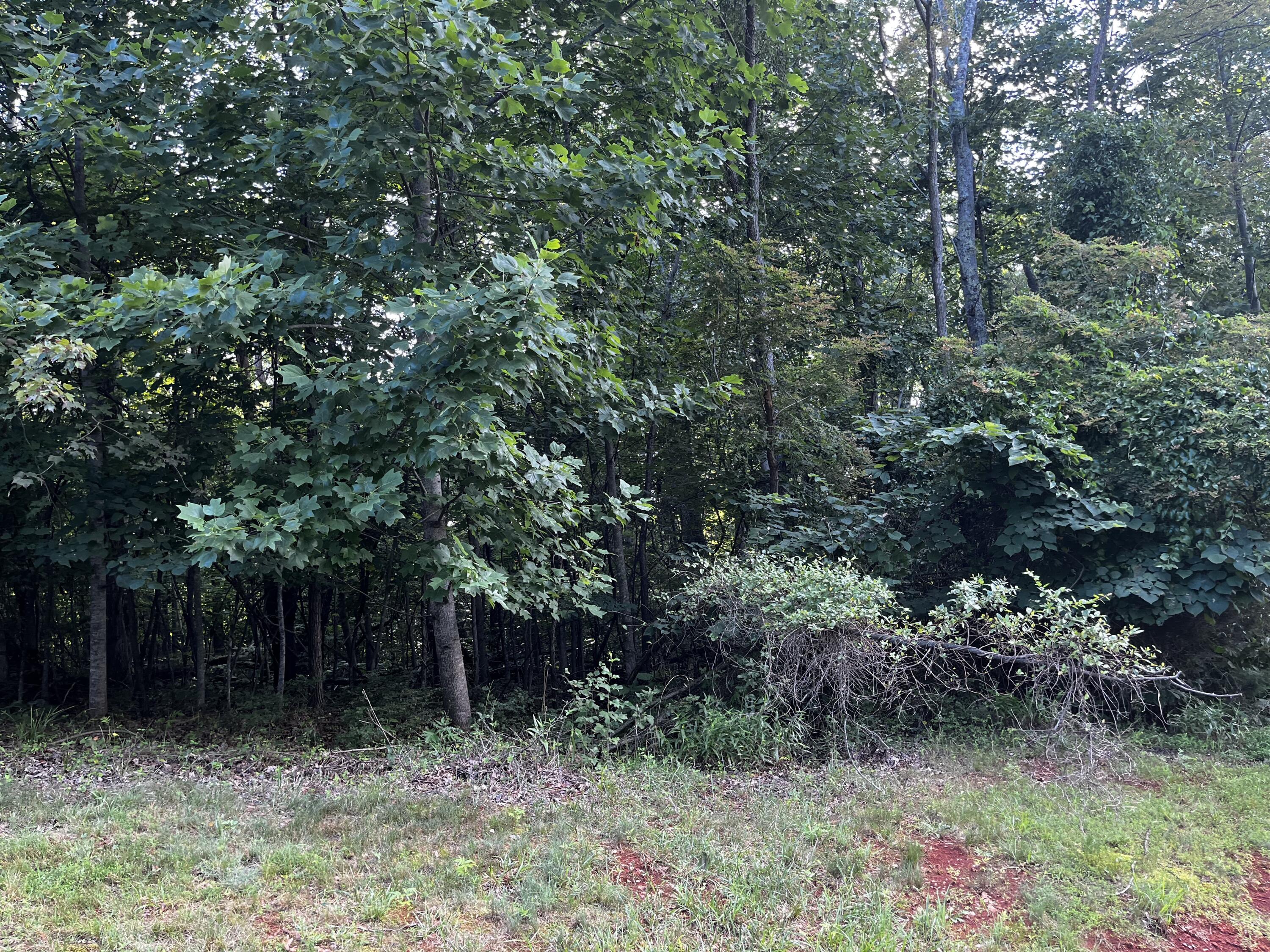 Lot 359 Clear Pointe Run, Lynch Station, Virginia image 11