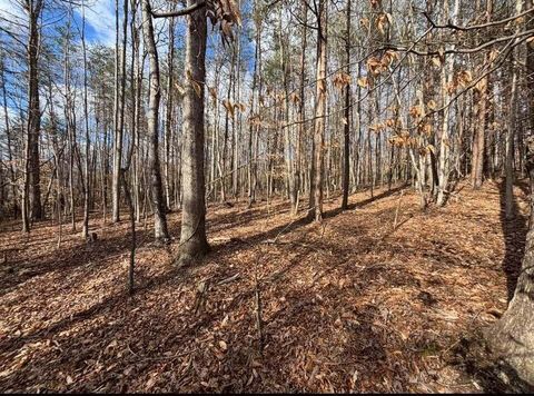 Vacant Land For Sale - LOT 13 Tarragon Way<br/> Moneta, VA 24121