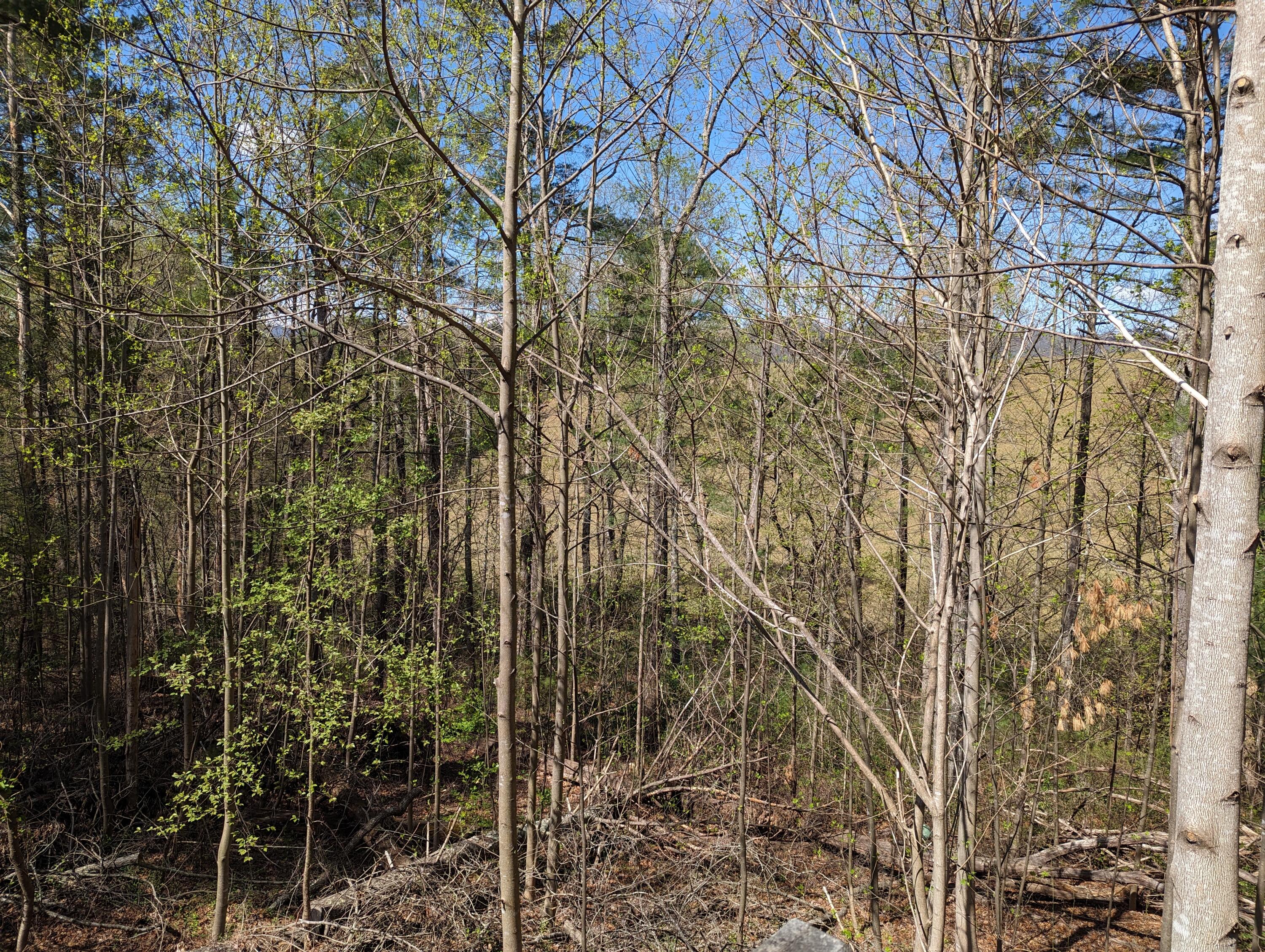 515 Sweetbriar Ln Ln, Boones Mill, Virginia image 43