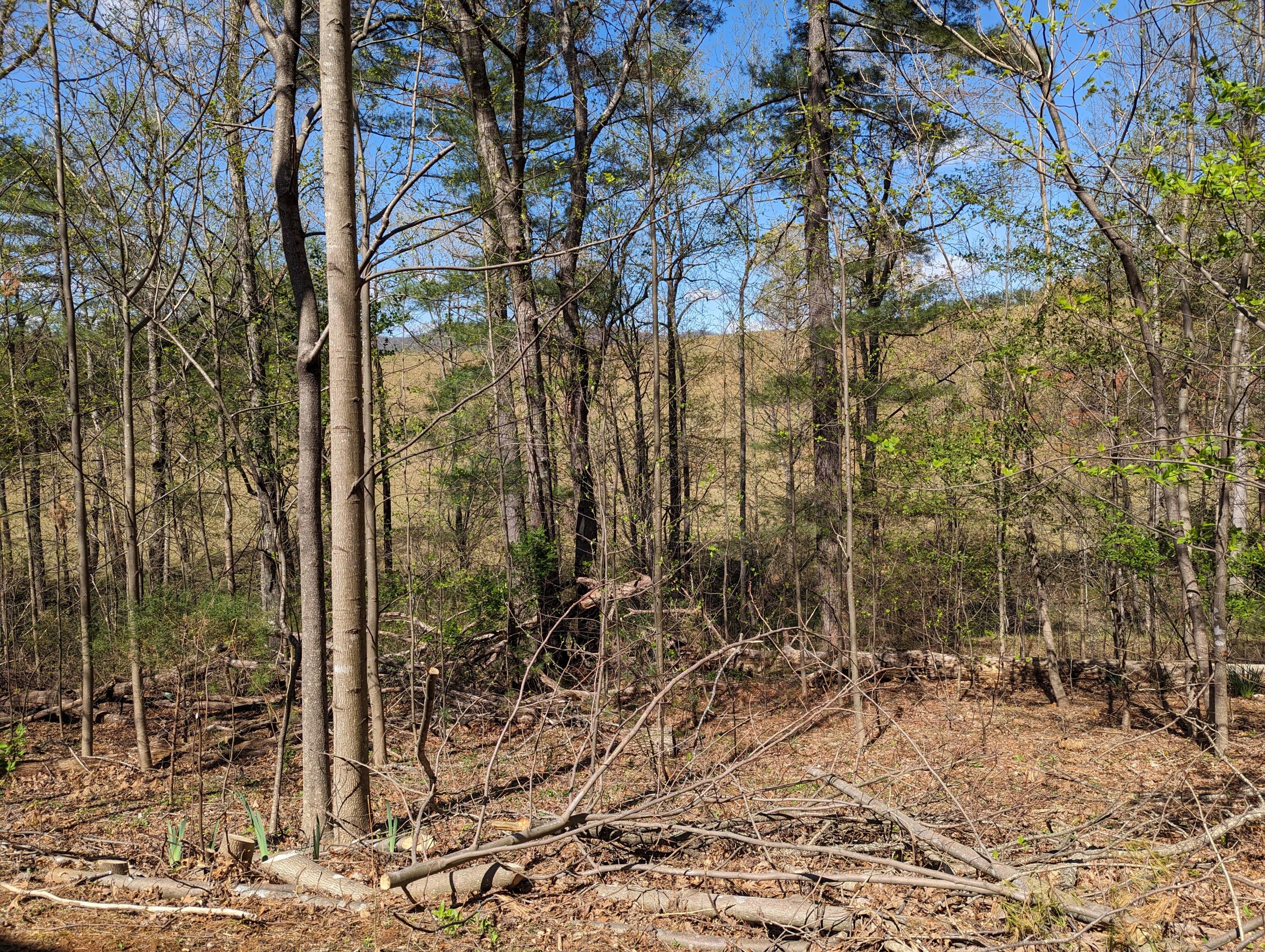 515 Sweetbriar Ln Ln, Boones Mill, Virginia image 38