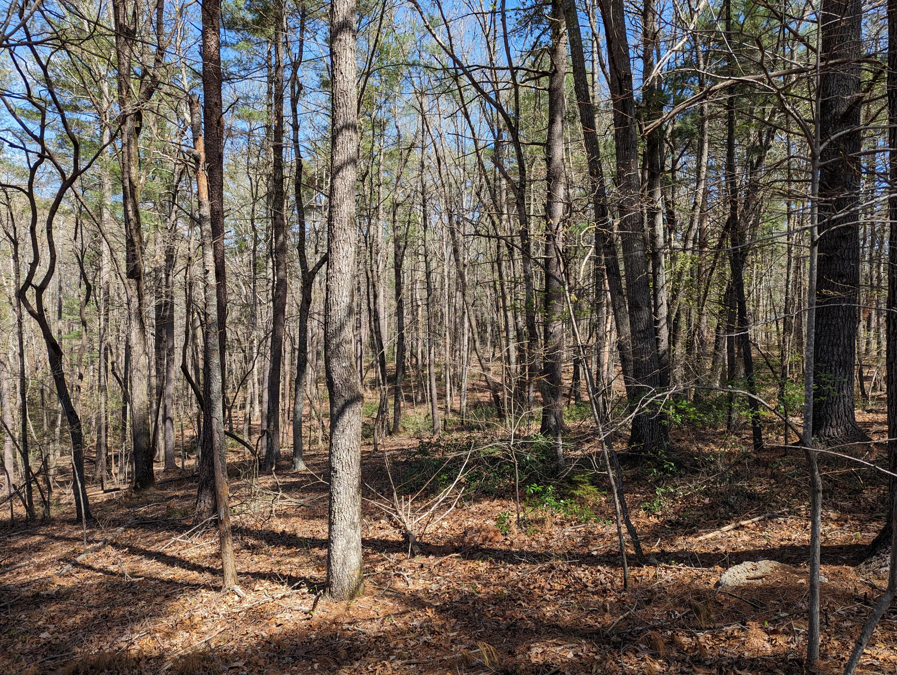 515 Sweetbriar Ln Ln, Boones Mill, Virginia image 42