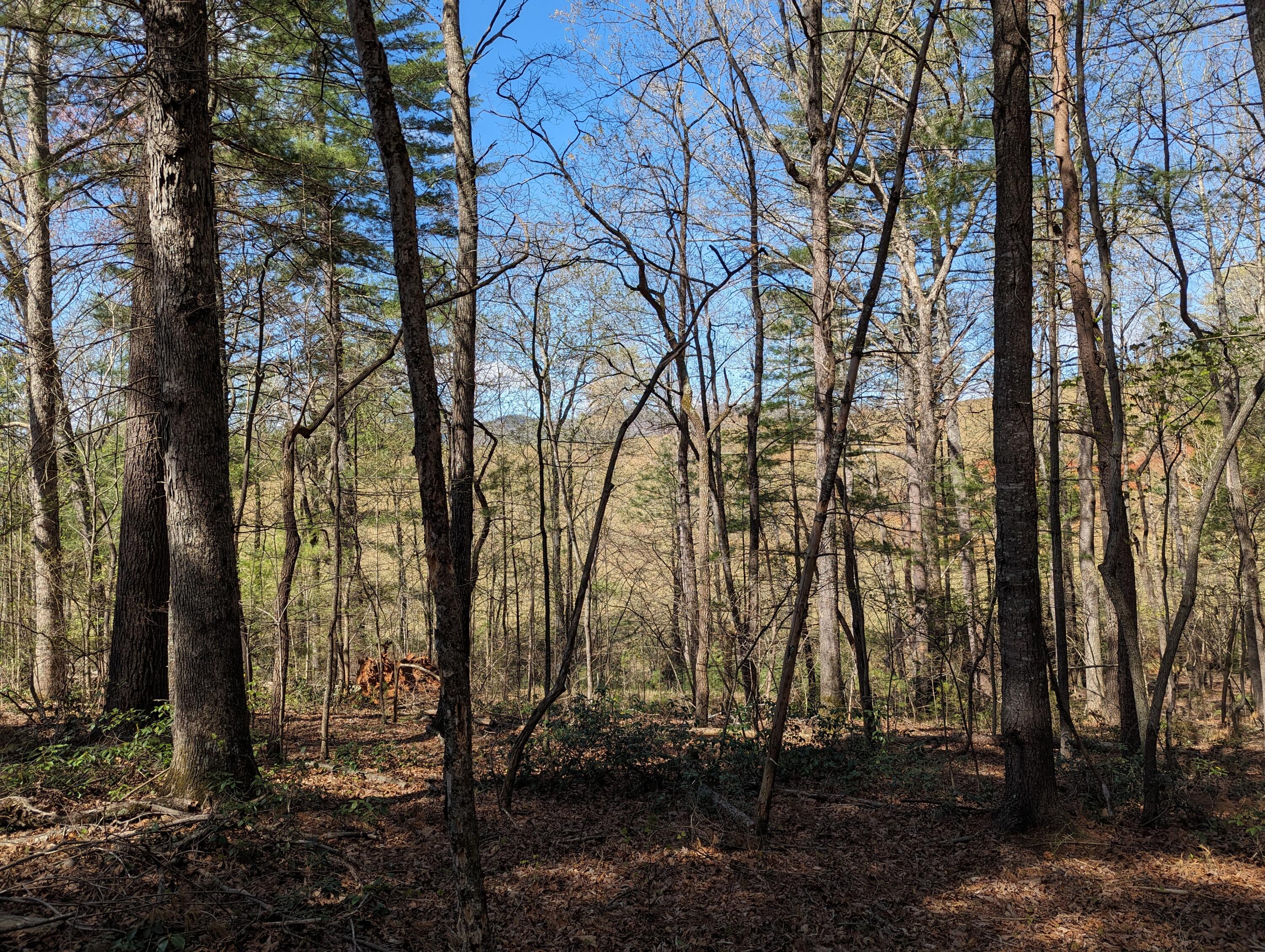 515 Sweetbriar Ln Ln, Boones Mill, Virginia image 41