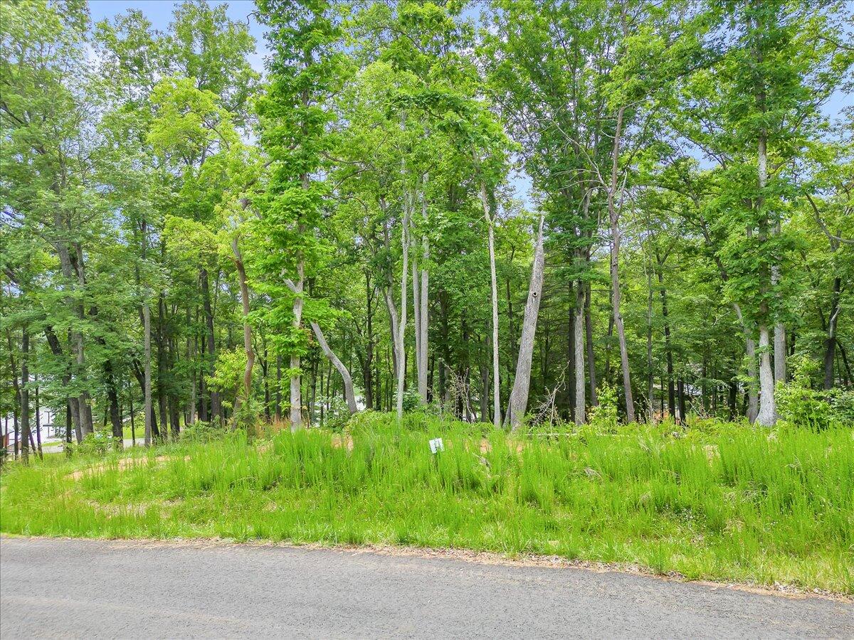 Lot 79 Crestview Rd, Wirtz, Virginia image 9