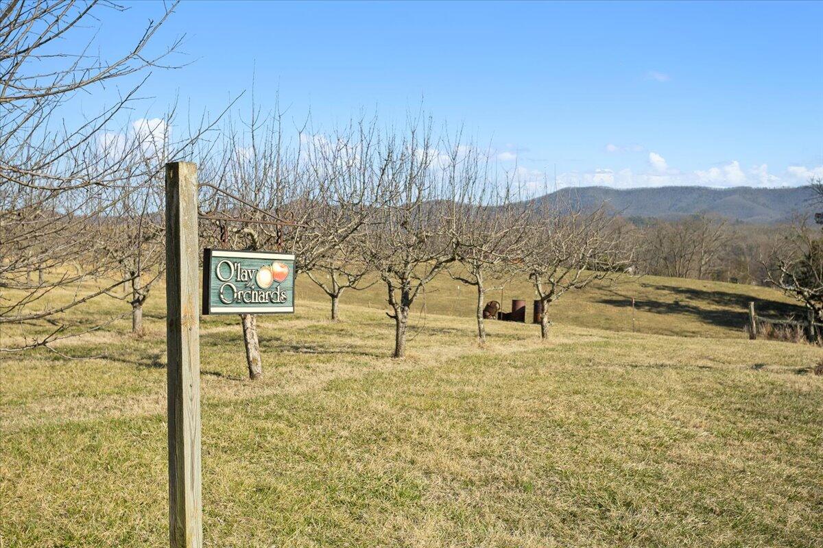Fincastle, Virginia, 24090, United States, 3 Bedrooms Bedrooms, ,4 BathroomsBathrooms,Residential,Active,2030518