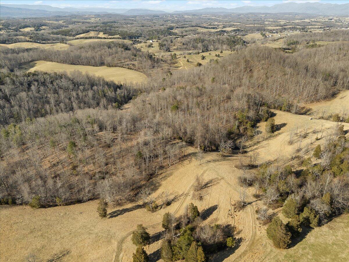 Fincastle, Virginia, 24090, United States, 3 Bedrooms Bedrooms, ,4 BathroomsBathrooms,Residential,Active,2030518