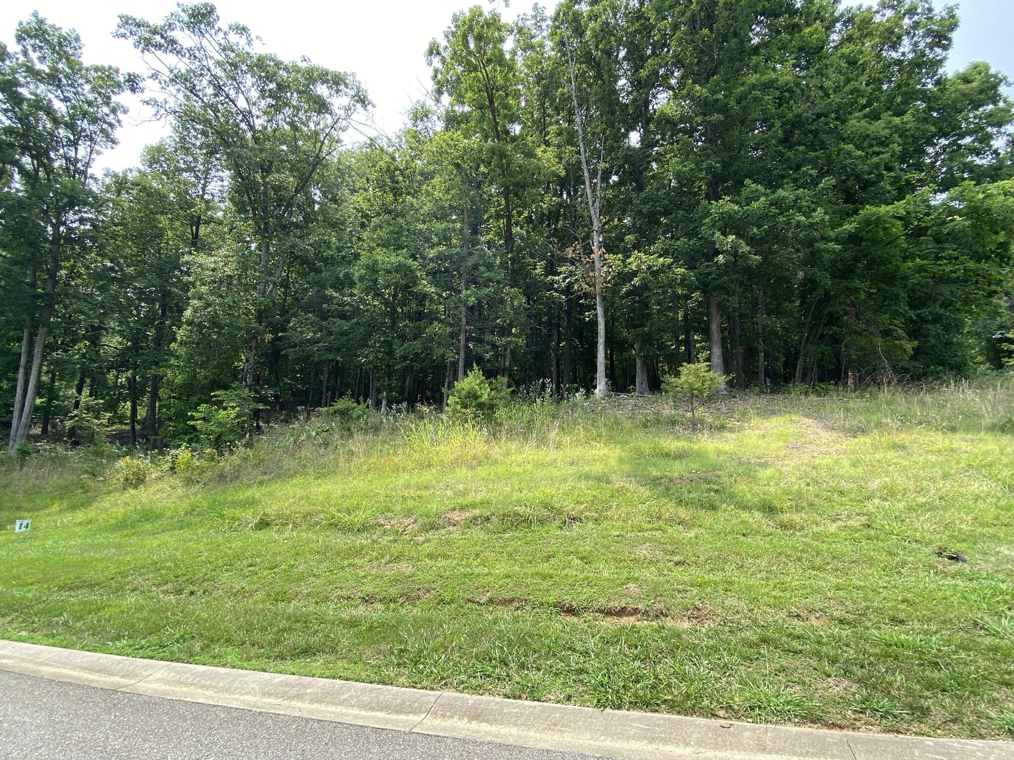 LOT 14 Summit Dr, Rocky Mount, Virginia image 1