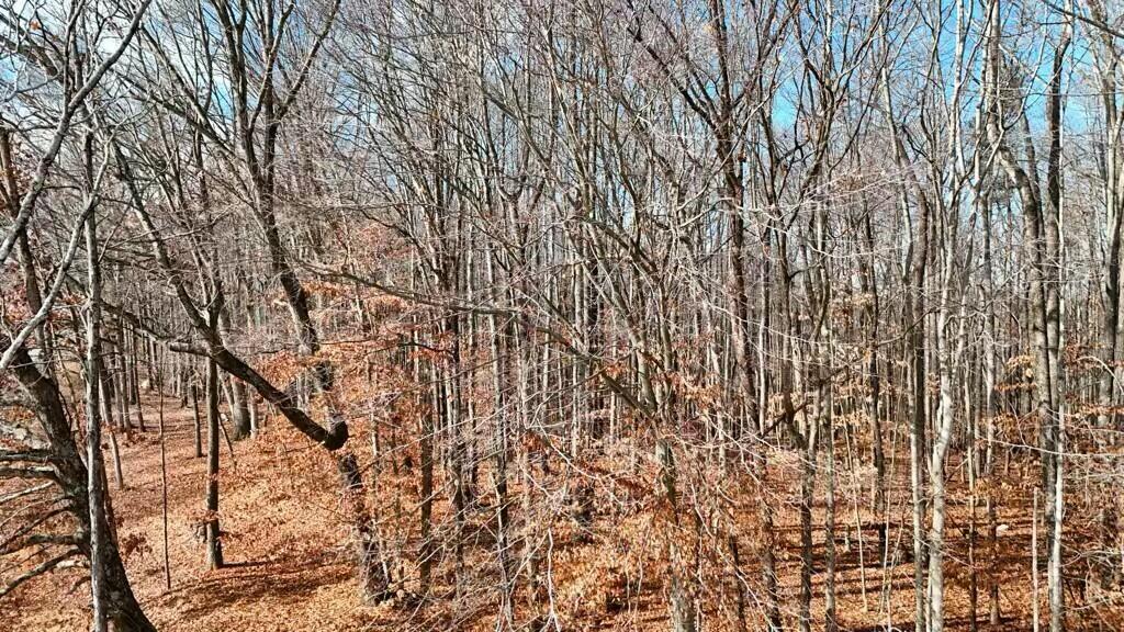 Lot 10 Binnacle Dr, Moneta, Virginia image 2