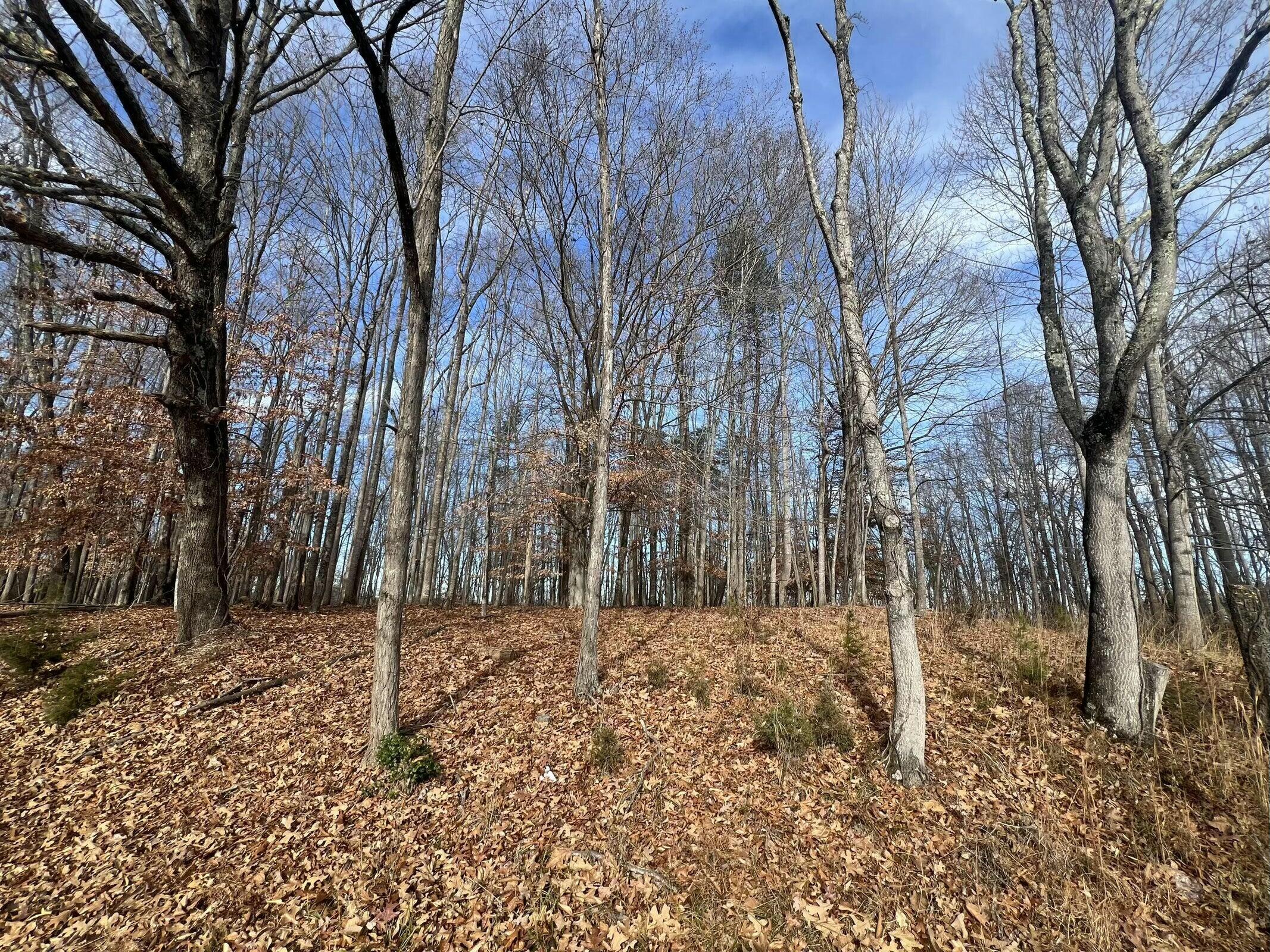 Lot 10 Binnacle Dr, Moneta, Virginia image 7