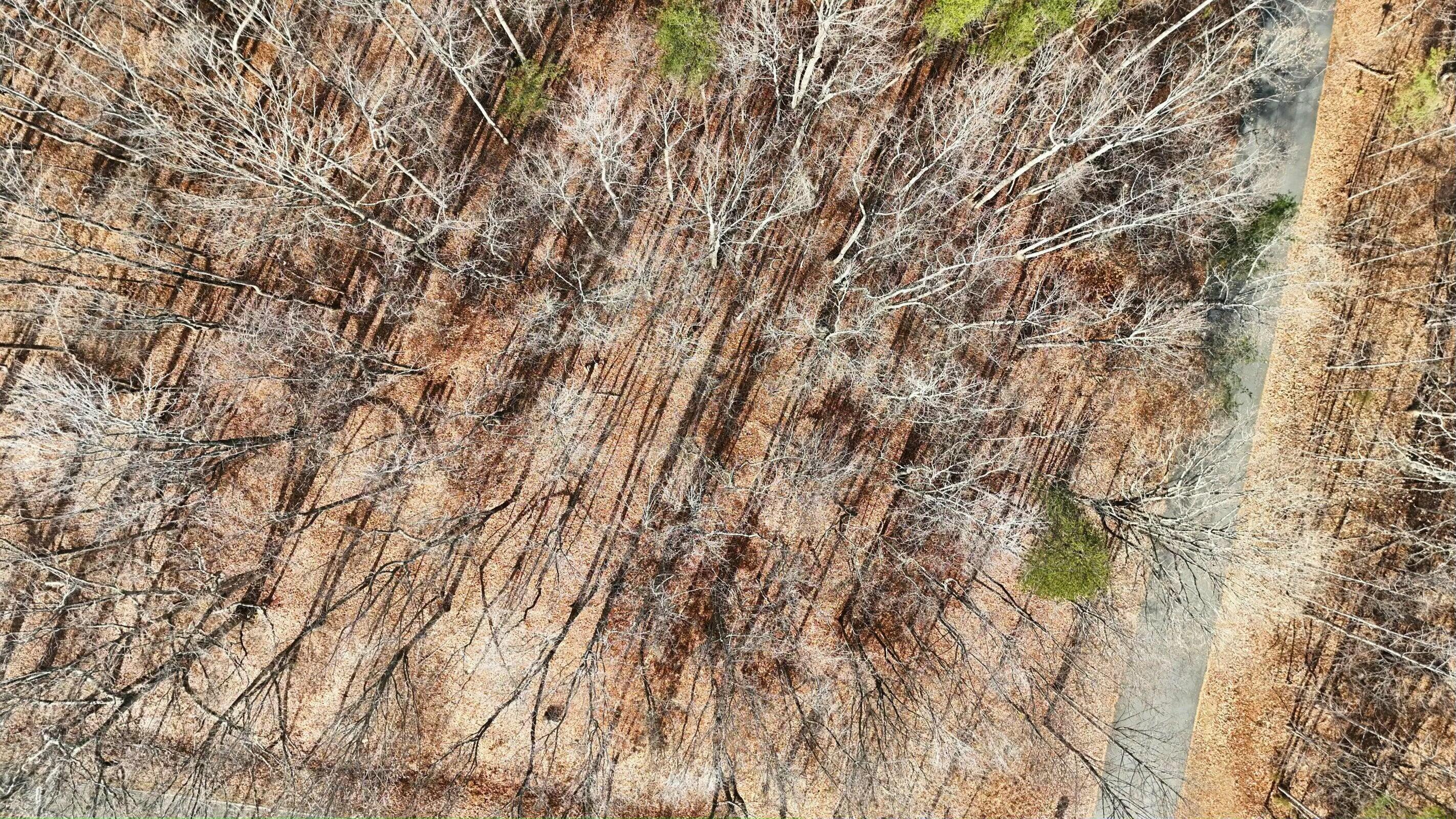 Lot 10 Binnacle Dr, Moneta, Virginia image 3