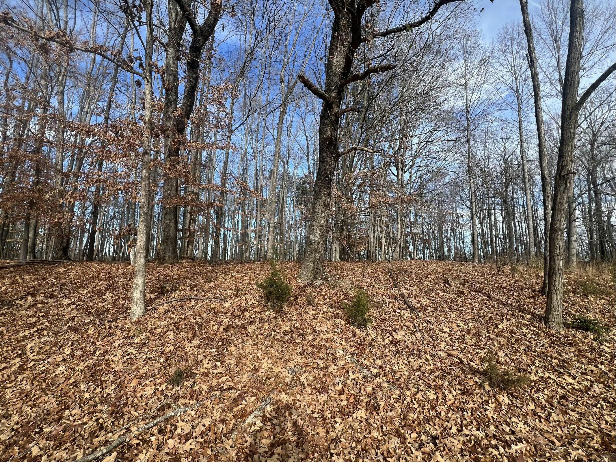 Lot 10 Binnacle Dr, Moneta, Virginia image 9