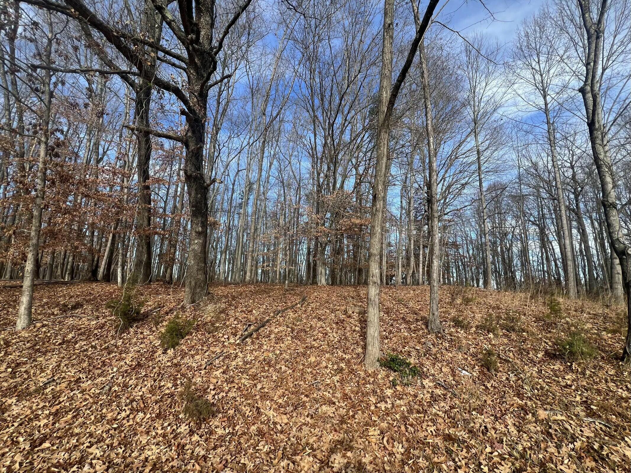 Lot 10 Binnacle Dr, Moneta, Virginia image 8