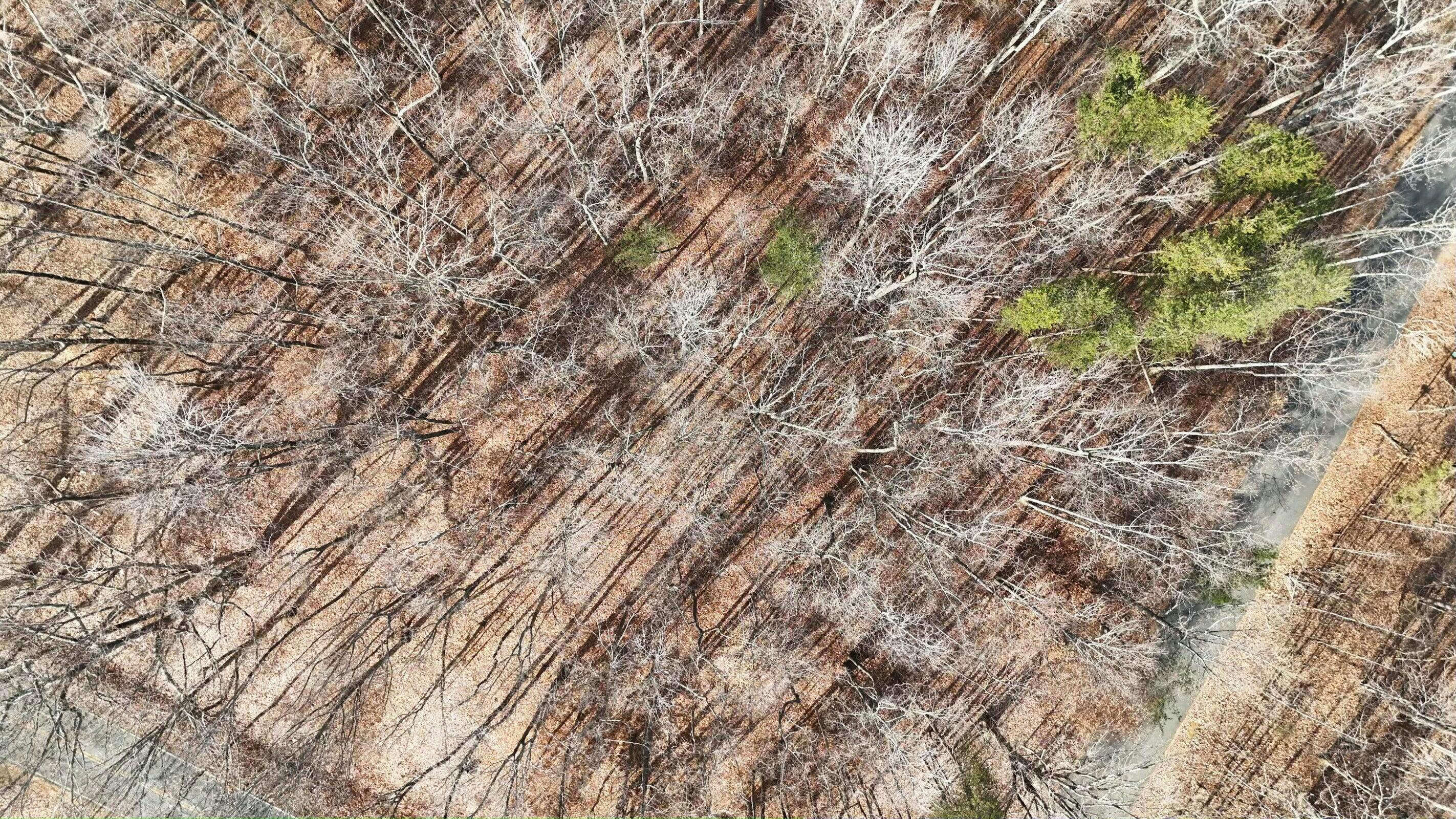 Lot 10 Binnacle Dr, Moneta, Virginia image 4