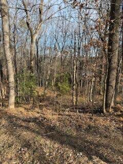 Vacant Land For Sale - Sunnycrest Rd<br/> Roanoke, VA 24018