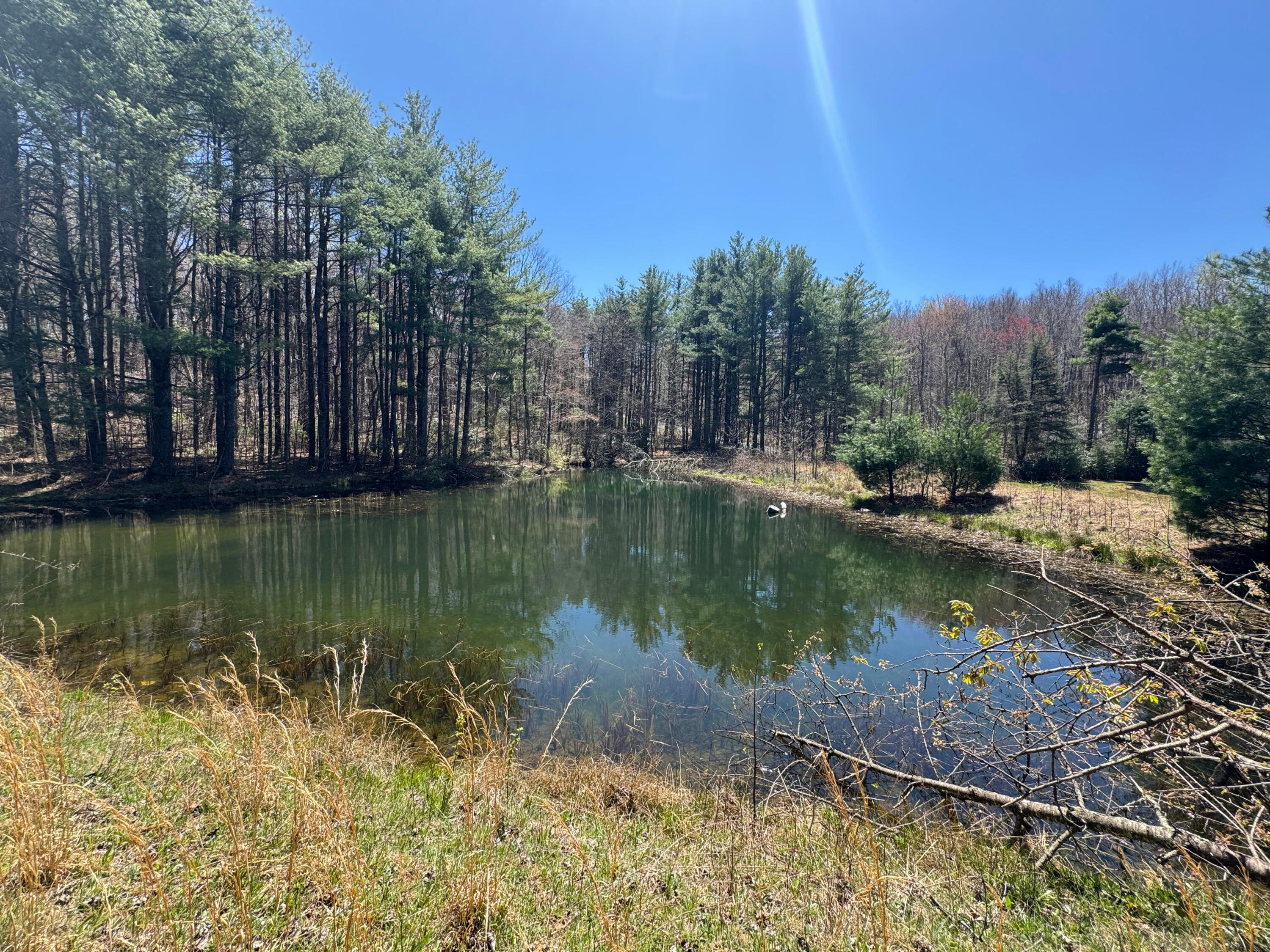 Cherry Creek Rd, Meadows of Dan, Virginia image 32