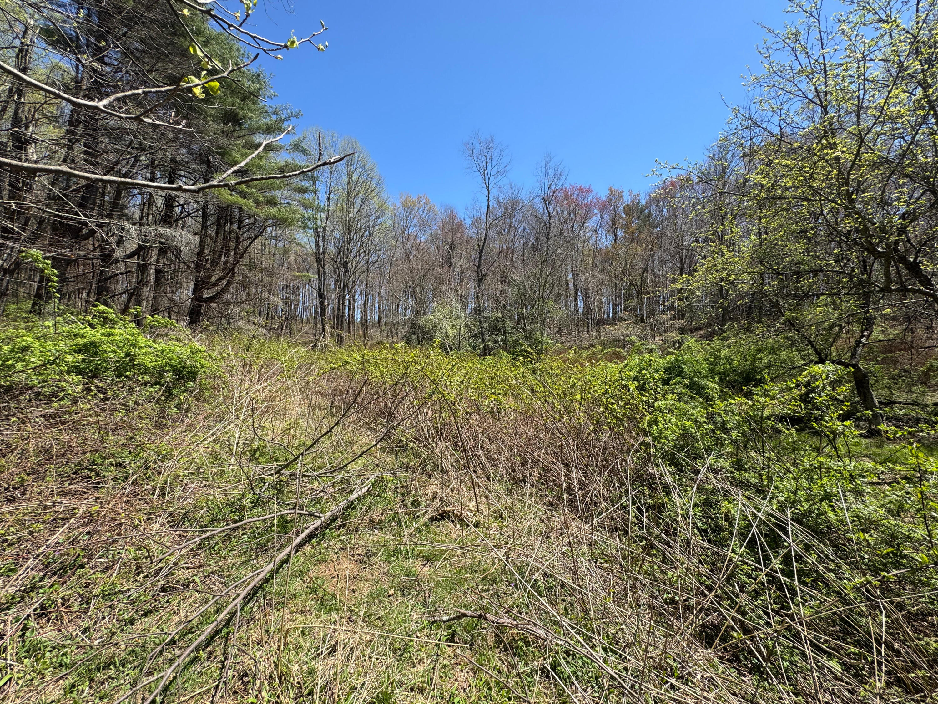 Cherry Creek Rd, Meadows of Dan, Virginia image 23