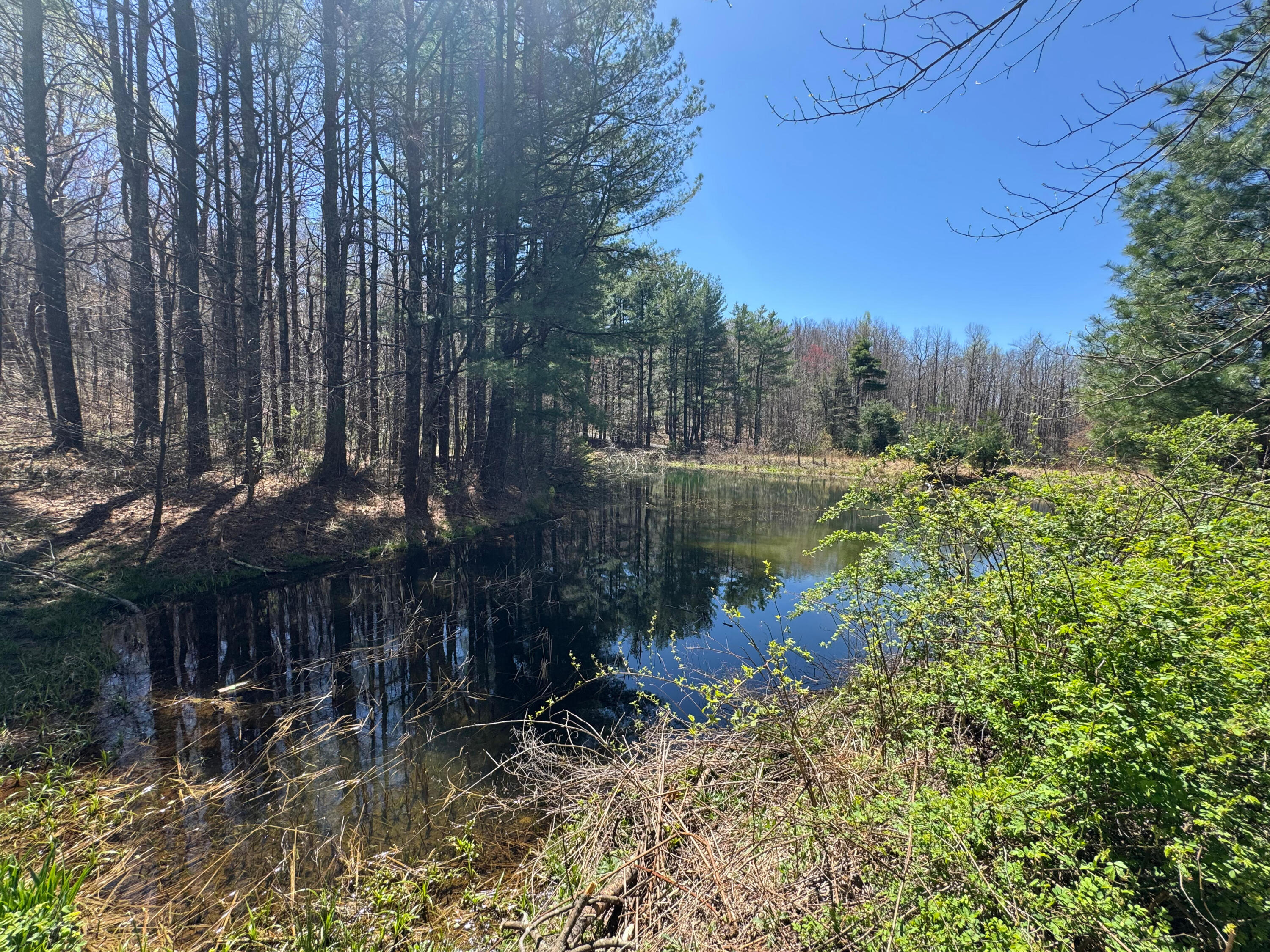 Cherry Creek Rd, Meadows of Dan, Virginia image 9