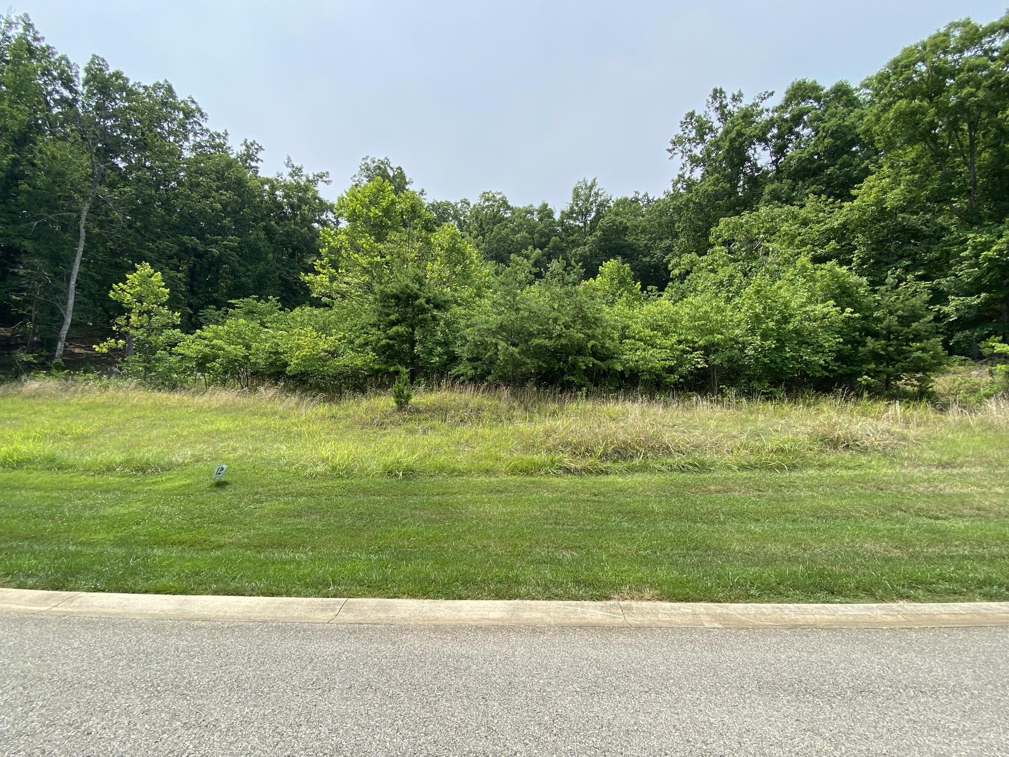 LOT 12 Summit Dr, Rocky Mount, Virginia image 1