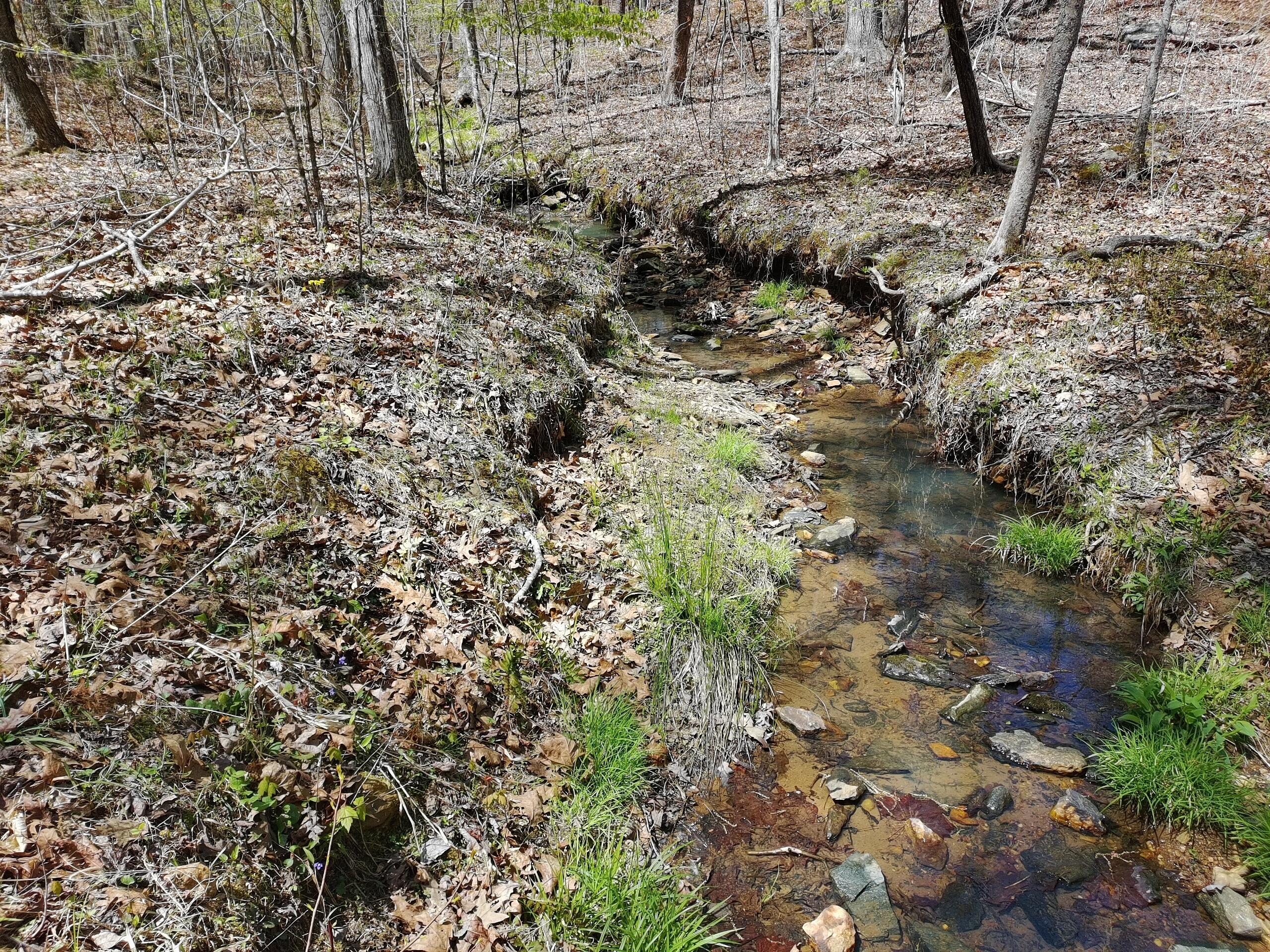 LOT9 Greystone Dr, Wirtz, Virginia image 1