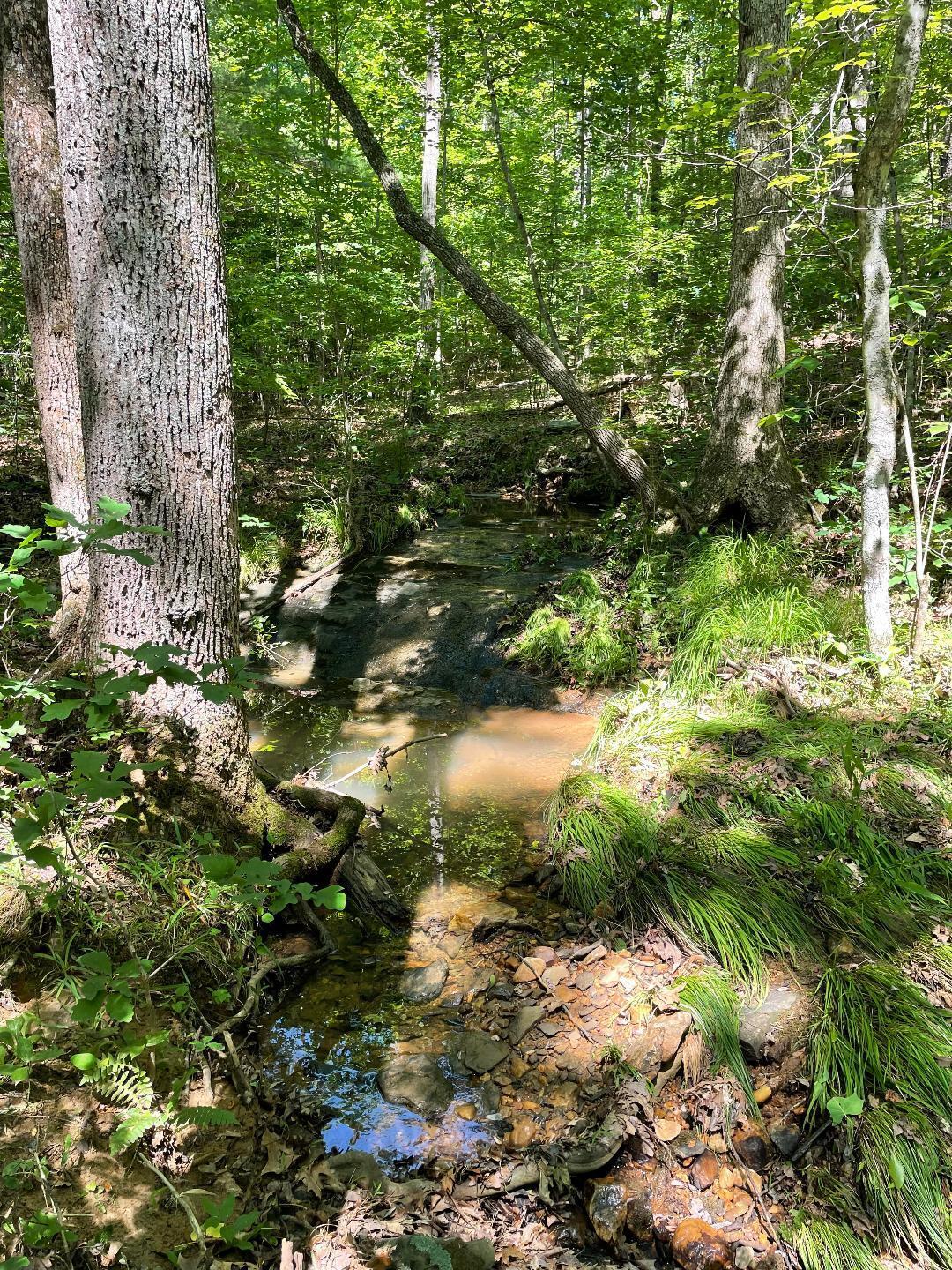 LOT9 Greystone Dr, Wirtz, Virginia image 1