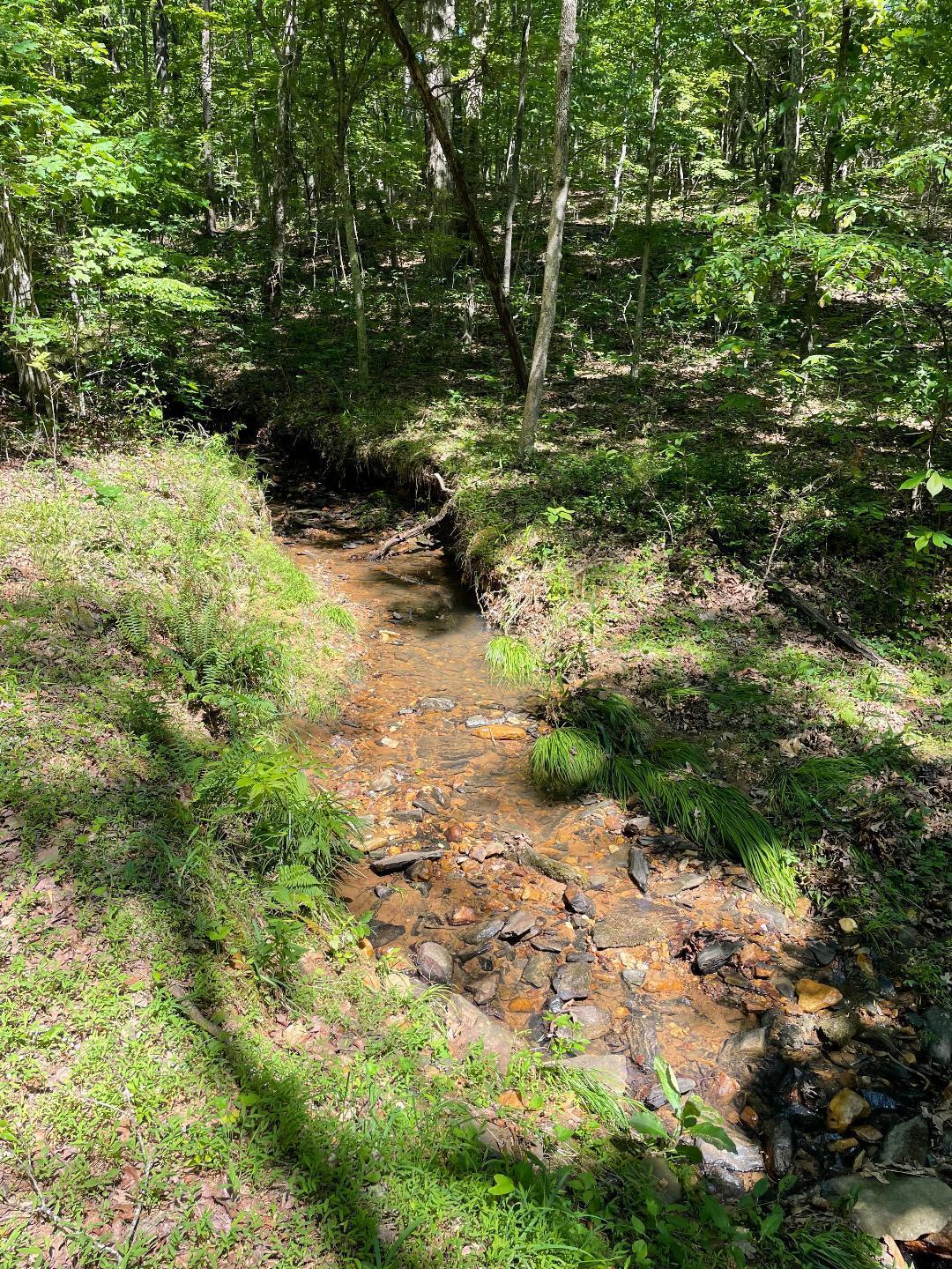 LOT9 Greystone Dr, Wirtz, Virginia image 4