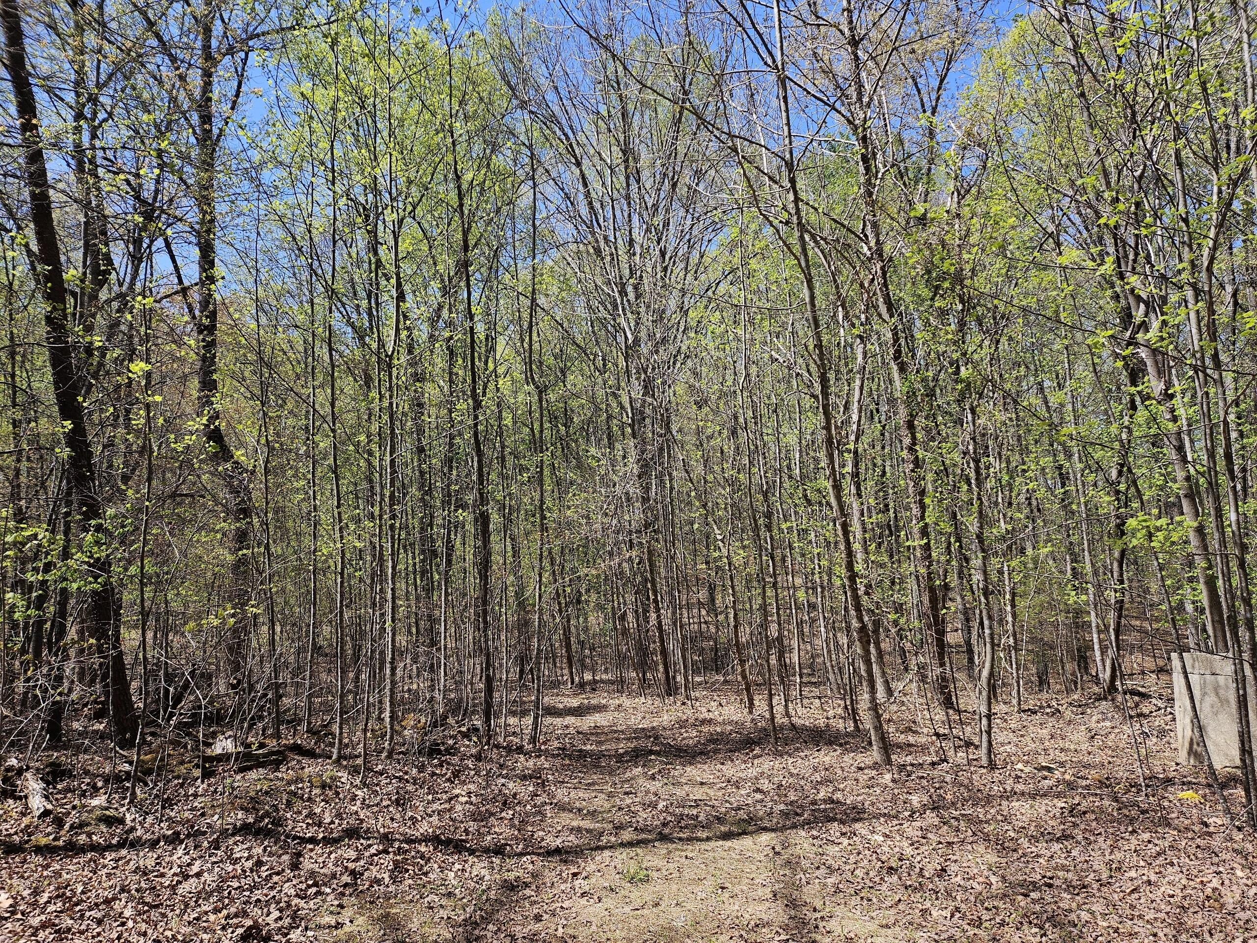 LOT9 Greystone Dr, Wirtz, Virginia image 3