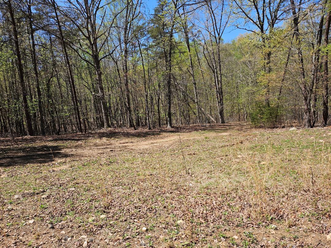 LOT9 Greystone Dr, Wirtz, Virginia image 12