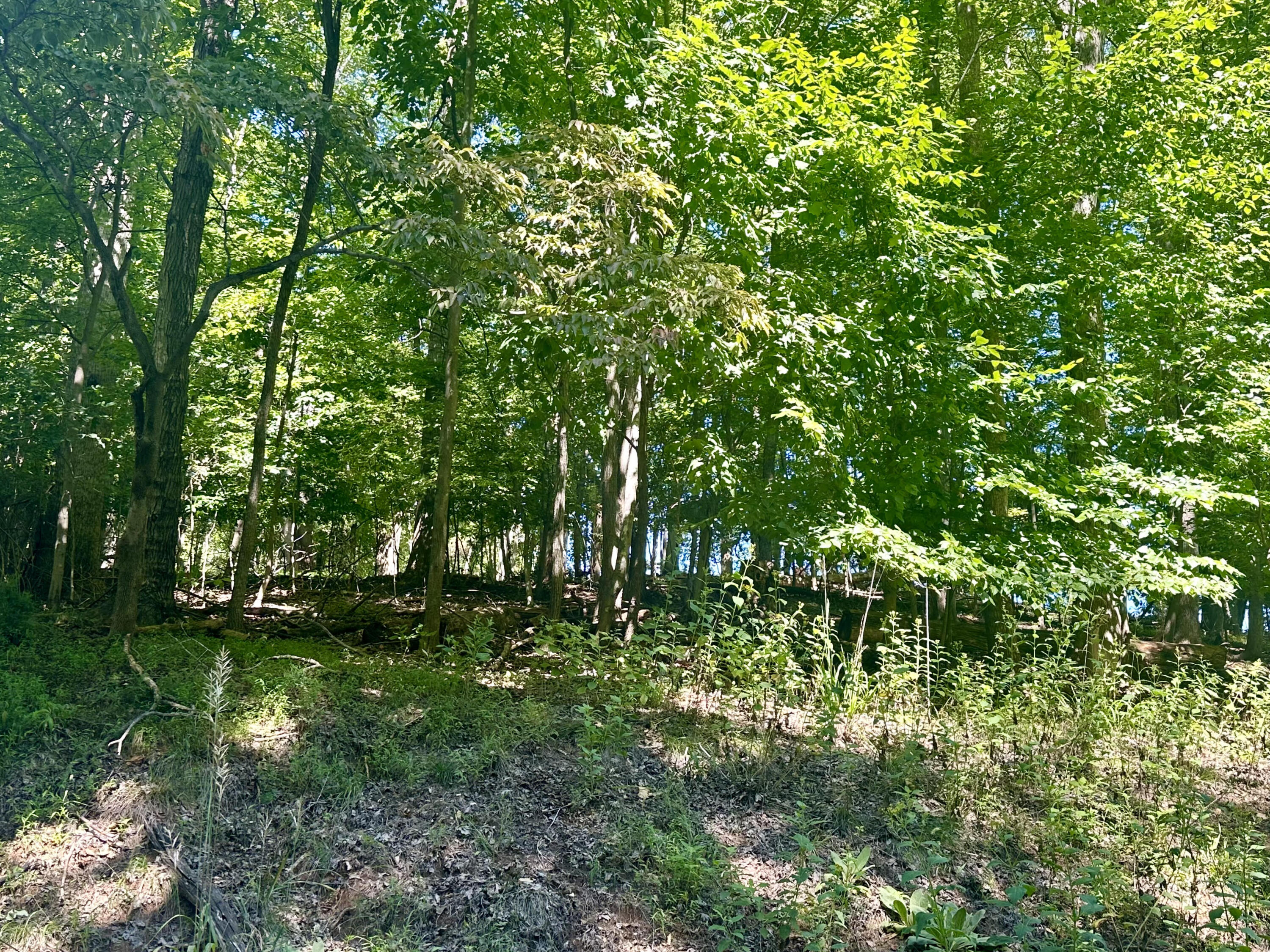 LOT 1 Whisperwood Ln, Moneta, Virginia image 1